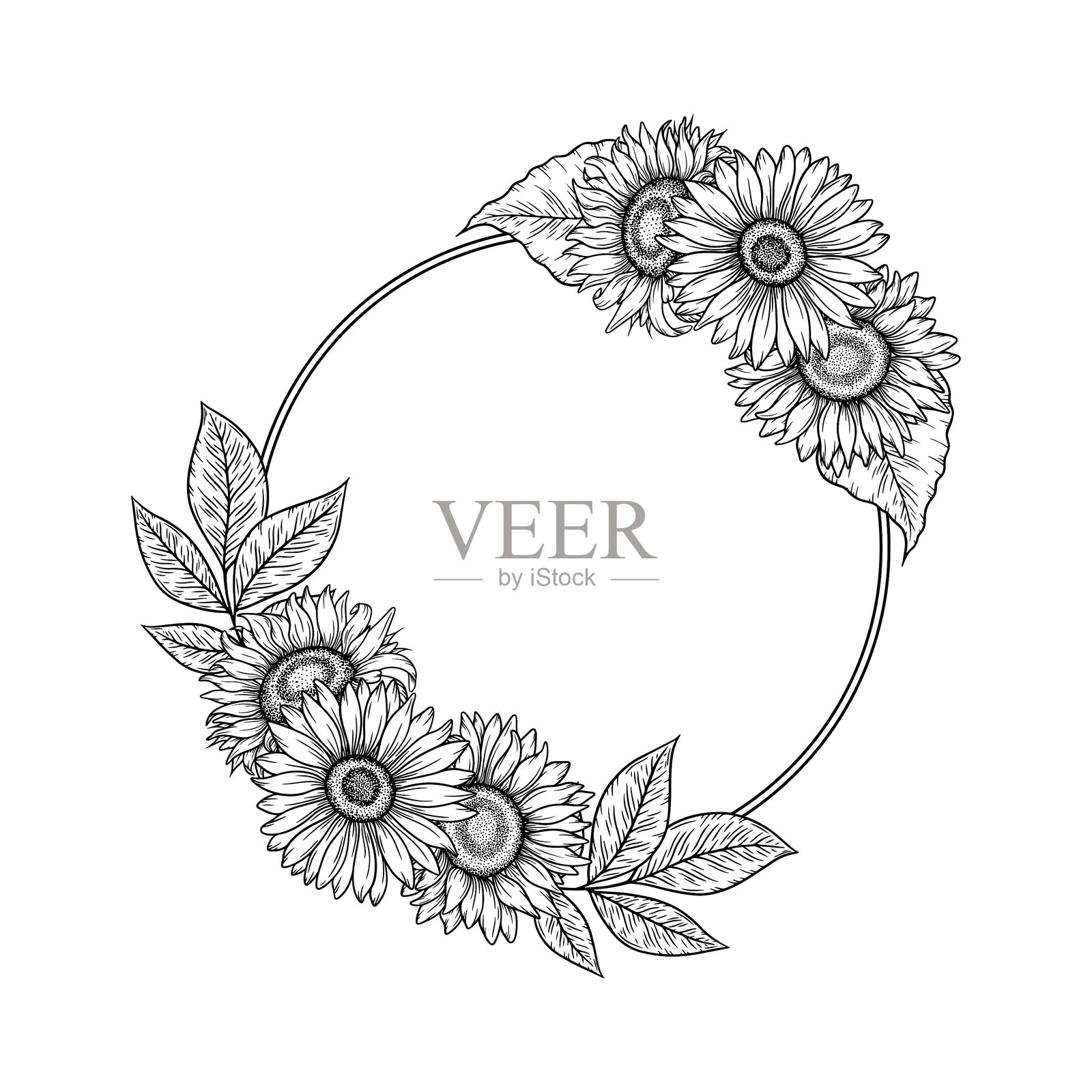 向日葵圆形框架插图,线条艺术花环。图形单色绘图。手绘花卉轮廓素描,雕刻插图。婚礼邀请函、标志的模板。插画图片素材