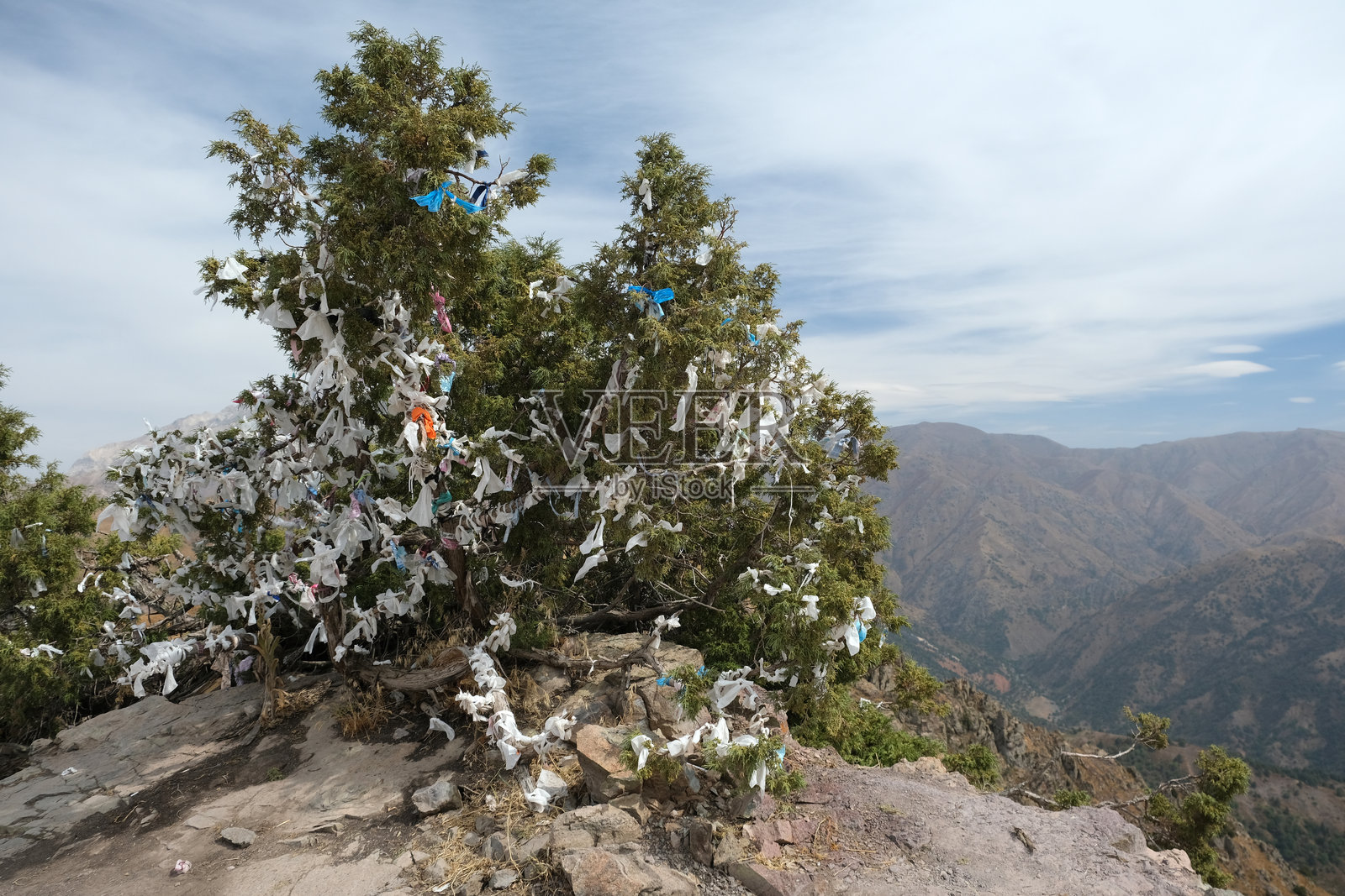 祈祷旗和供品装饰着山脊上的一棵树,营造出宁静的自然风光照片摄影图片