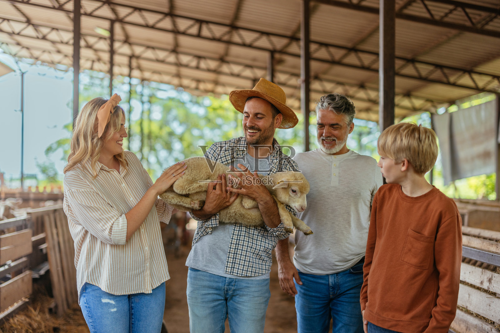 一家人在农场与羊一起享受一天的时光照片摄影图片