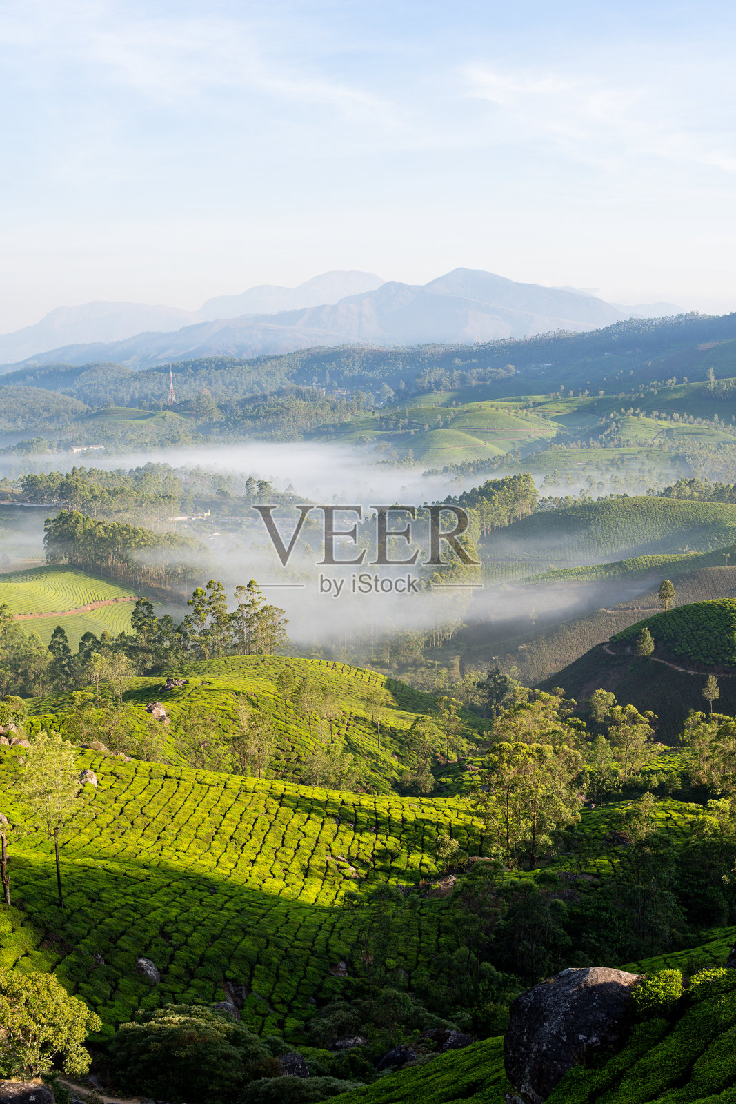 印度喀拉拉邦日出时分的穆纳尔茶园全景图照片摄影图片