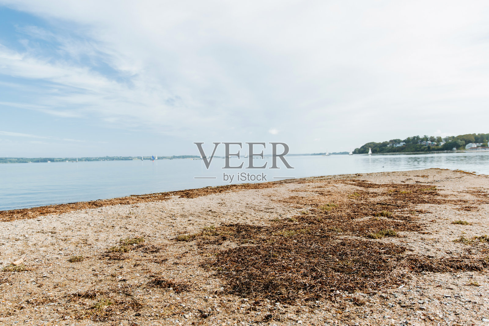 弗伦斯堡奎伦塔尔的空旷沙滩在夏季照片摄影图片