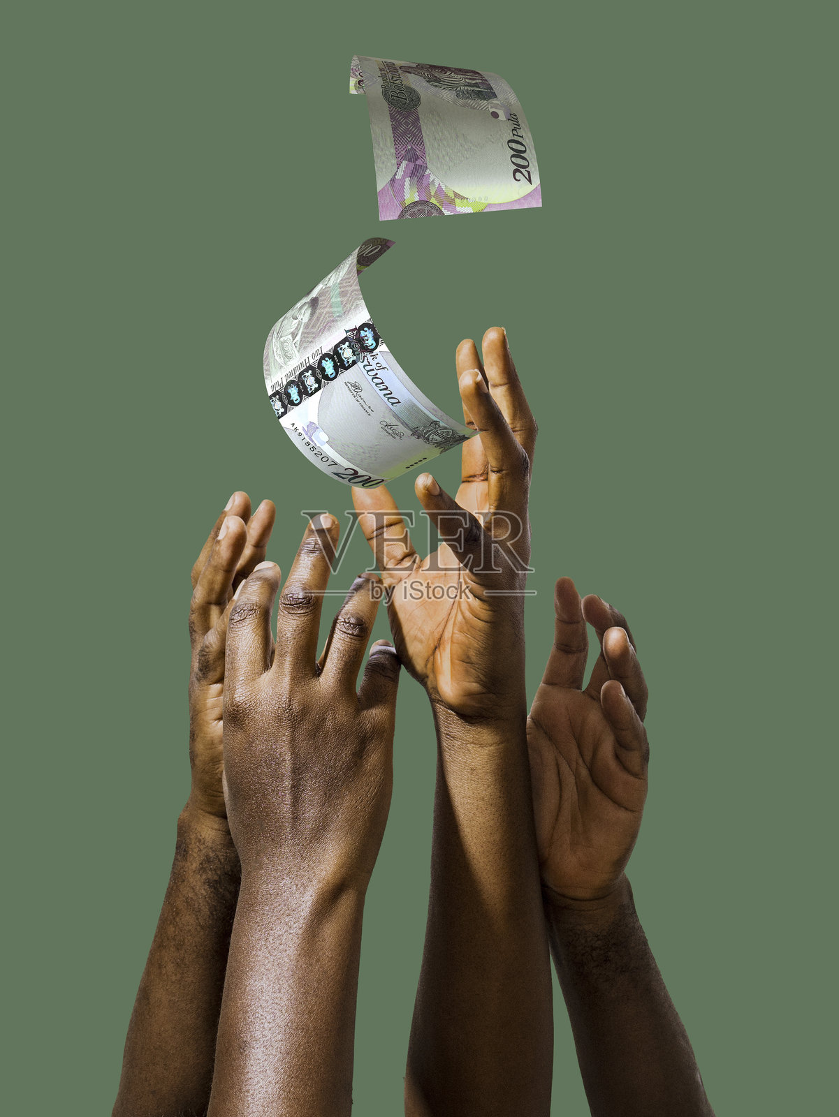 许多非洲黑人的手在绿色背景下伸向博茨瓦纳普拉货币纸币,伸出手臂索要现金。照片摄影图片