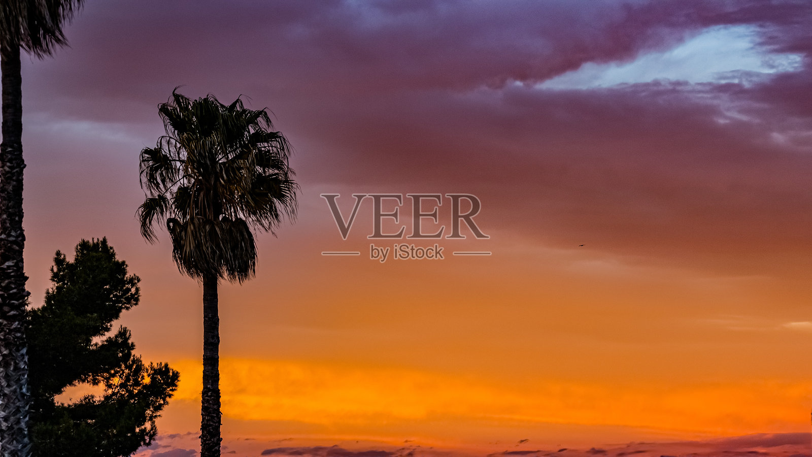 巴塞罗那照片摄影图片