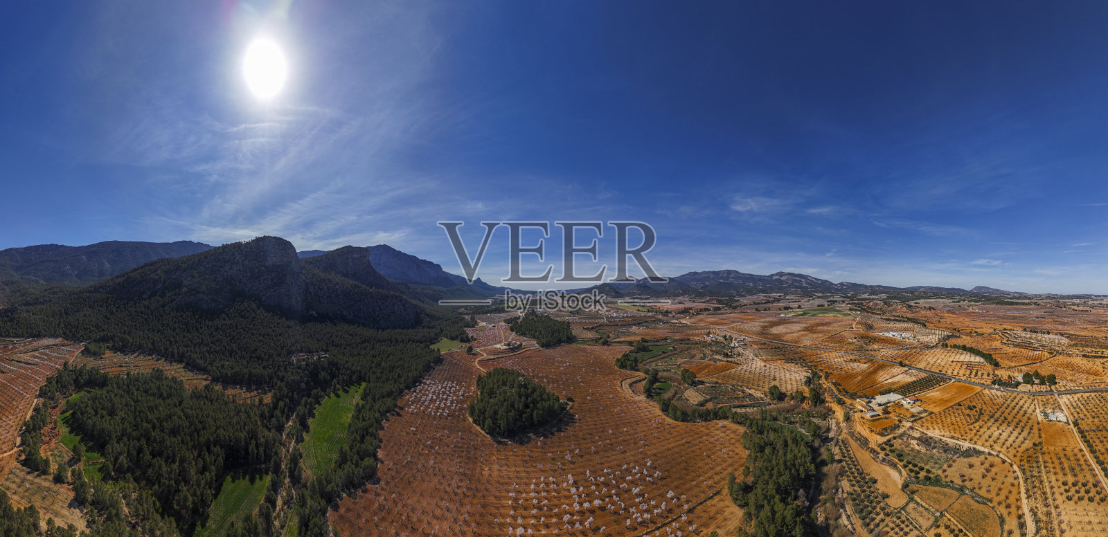 西班牙穆尔西亚地区穆拉的开花杏树鸟瞰图照片摄影图片