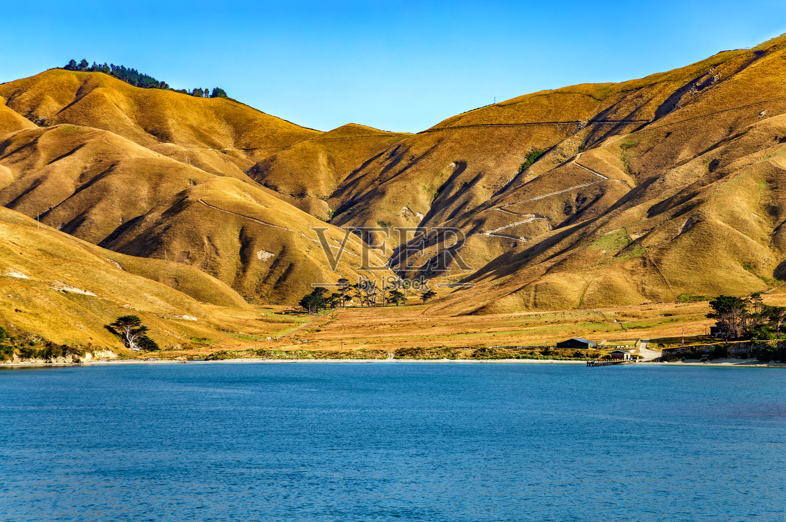 阿拉帕阿岛,新西兰南岛,马尔堡海峡,大洋洲。照片摄影图片