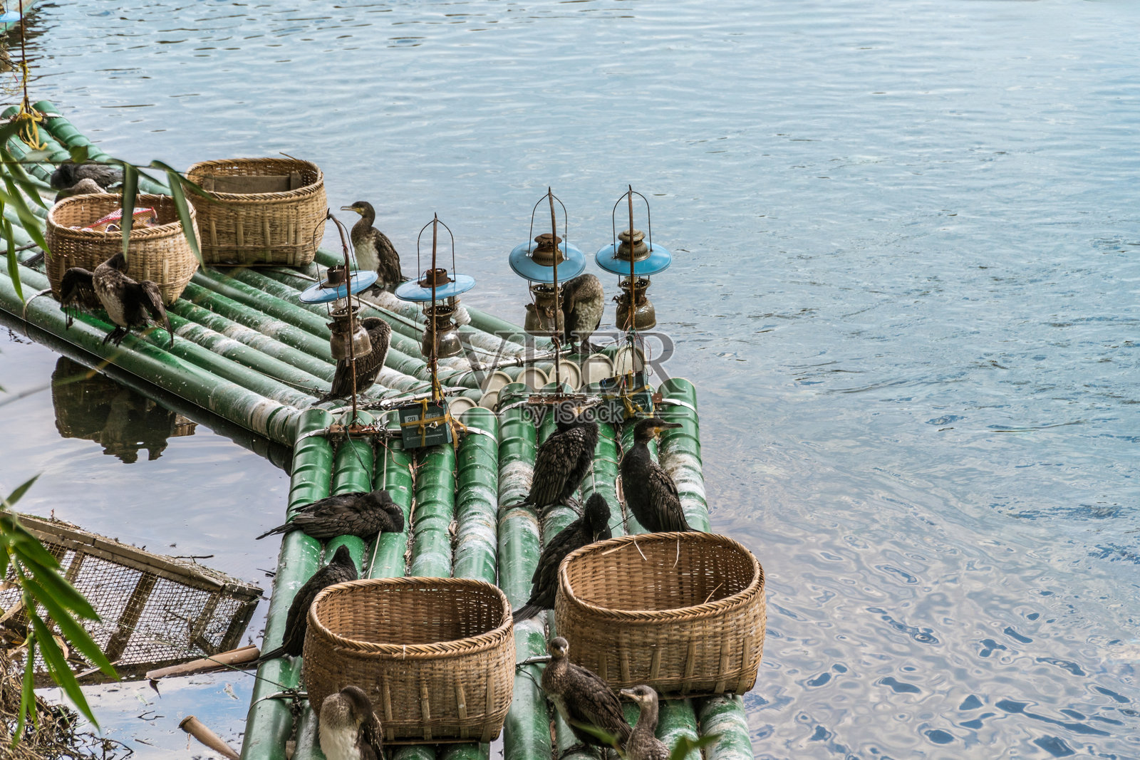 漓江上的鸬鹚鸟在筏子上照片摄影图片
