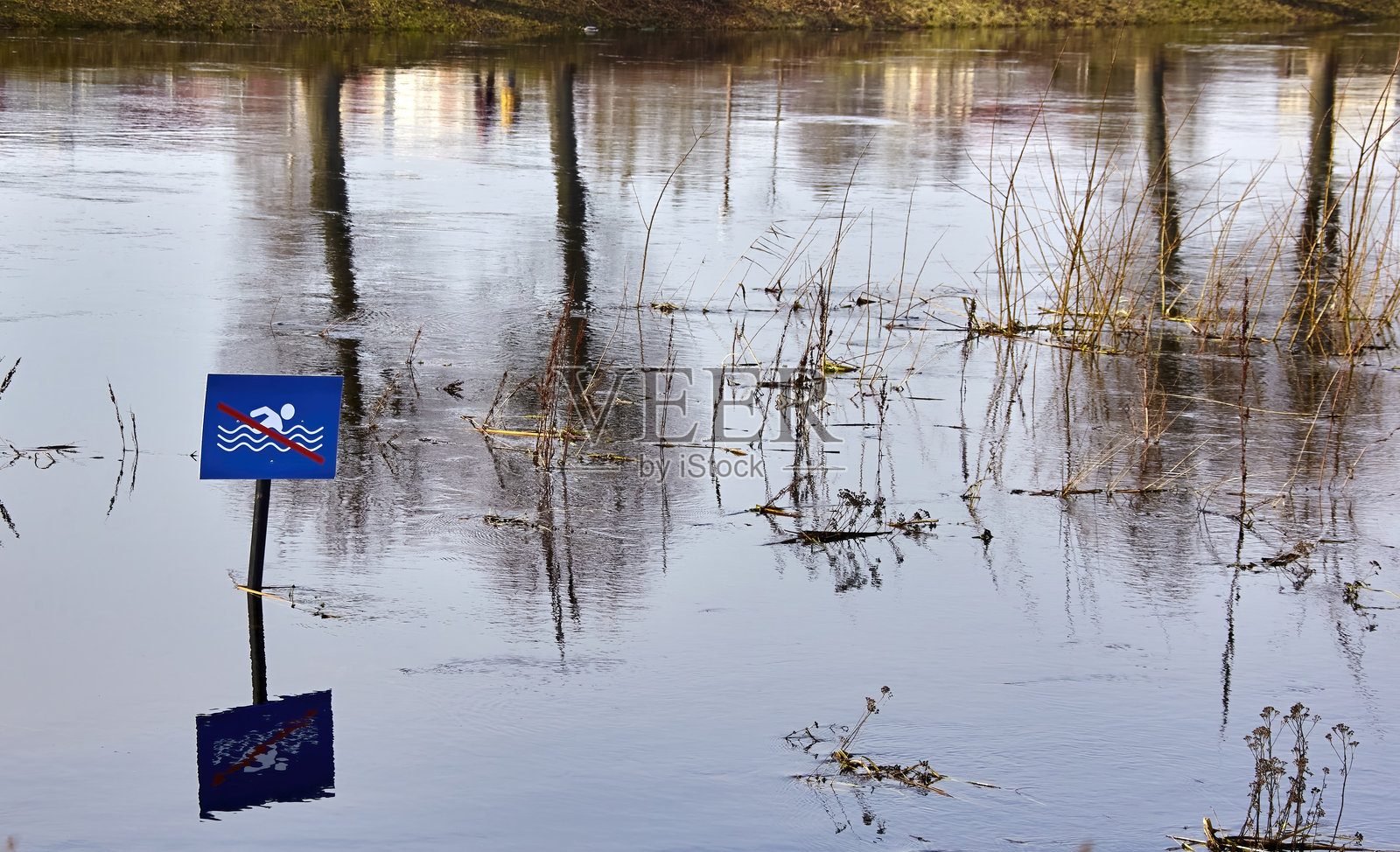 游泳者警告标志部分浸没在反射水面中,展现出河岸附近宁静的环境。照片摄影图片