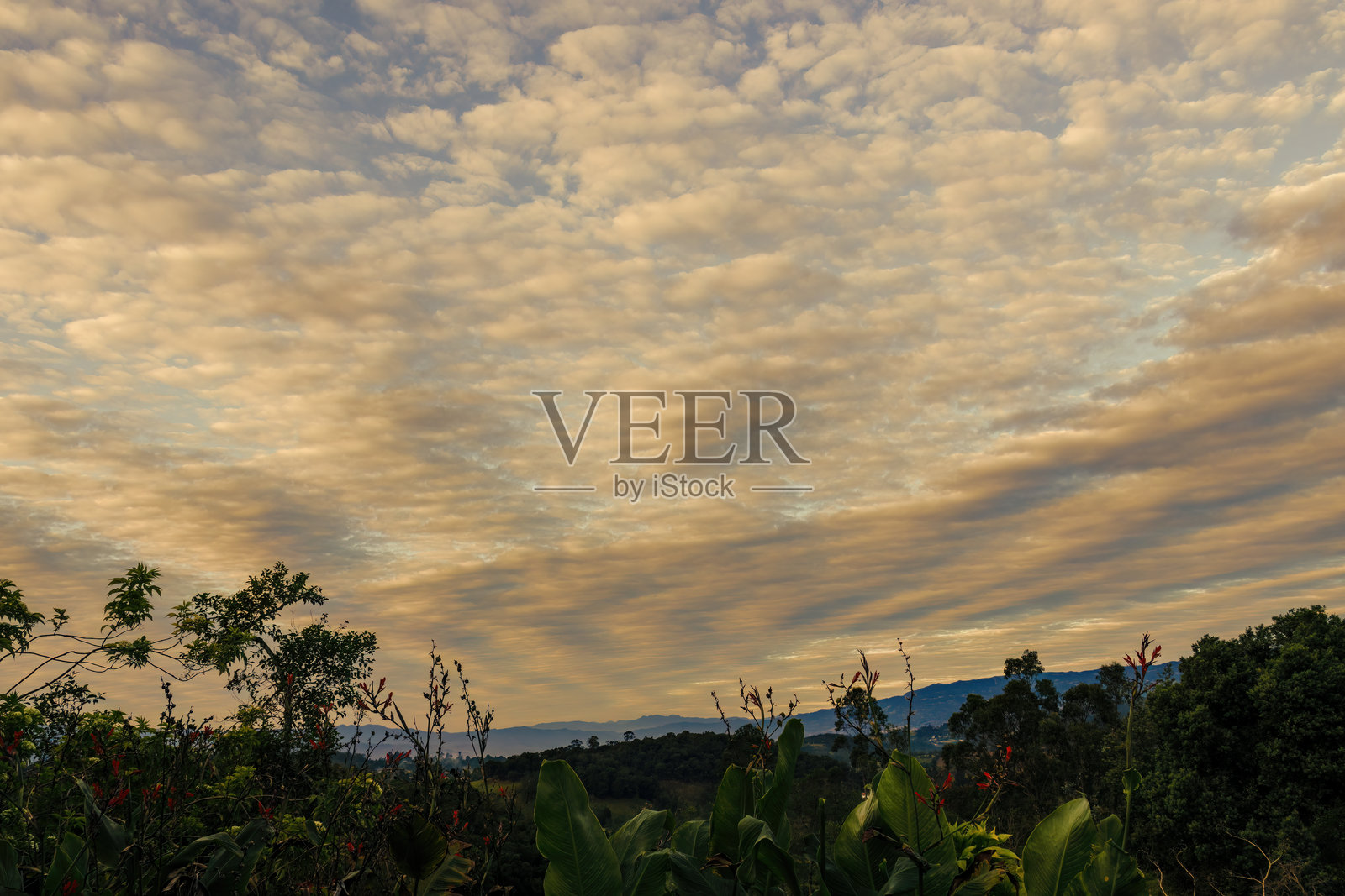 日出时西方聚集着非常奇特的云彩照片摄影图片