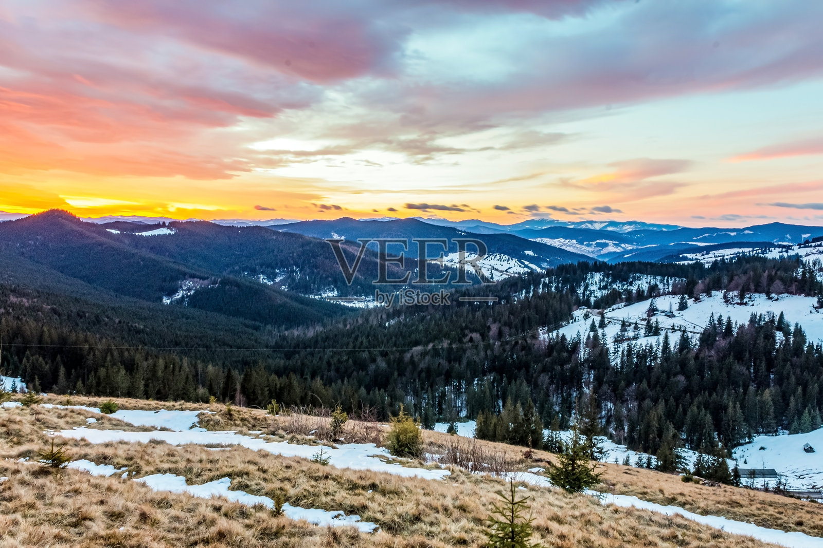 风景 - 森林 - 欧洲,罗马尼亚,苏恰瓦地区照片摄影图片