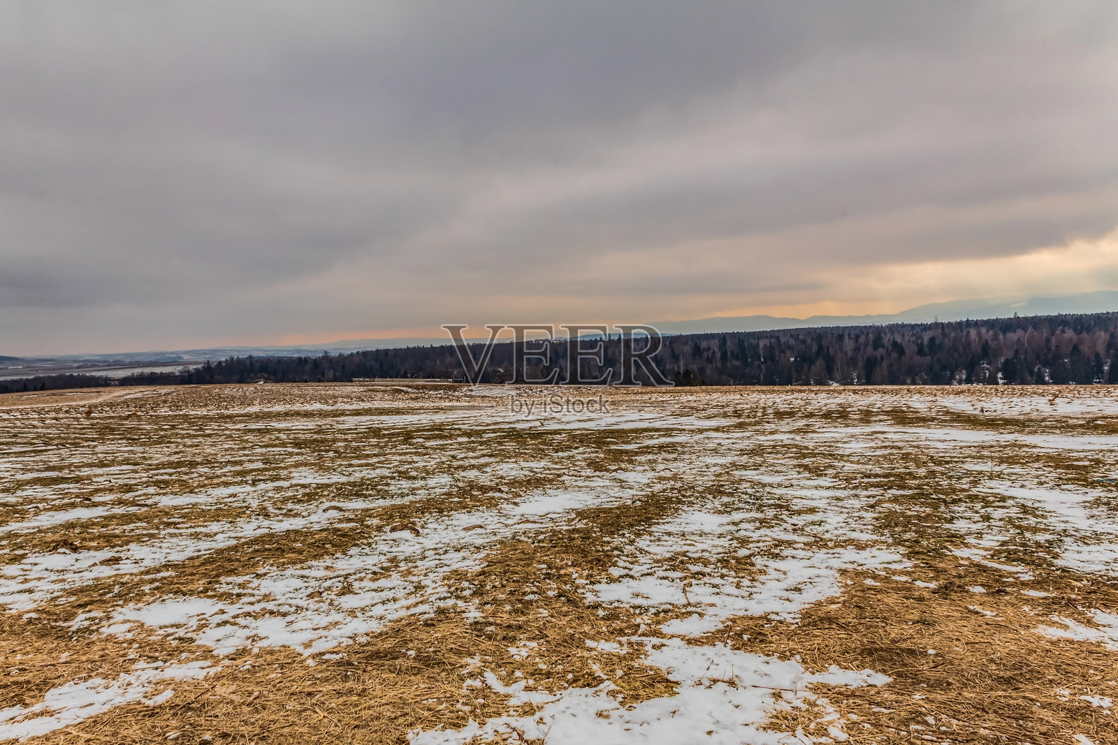 风景 - 森林 - 欧洲,罗马尼亚,苏恰瓦地区照片摄影图片