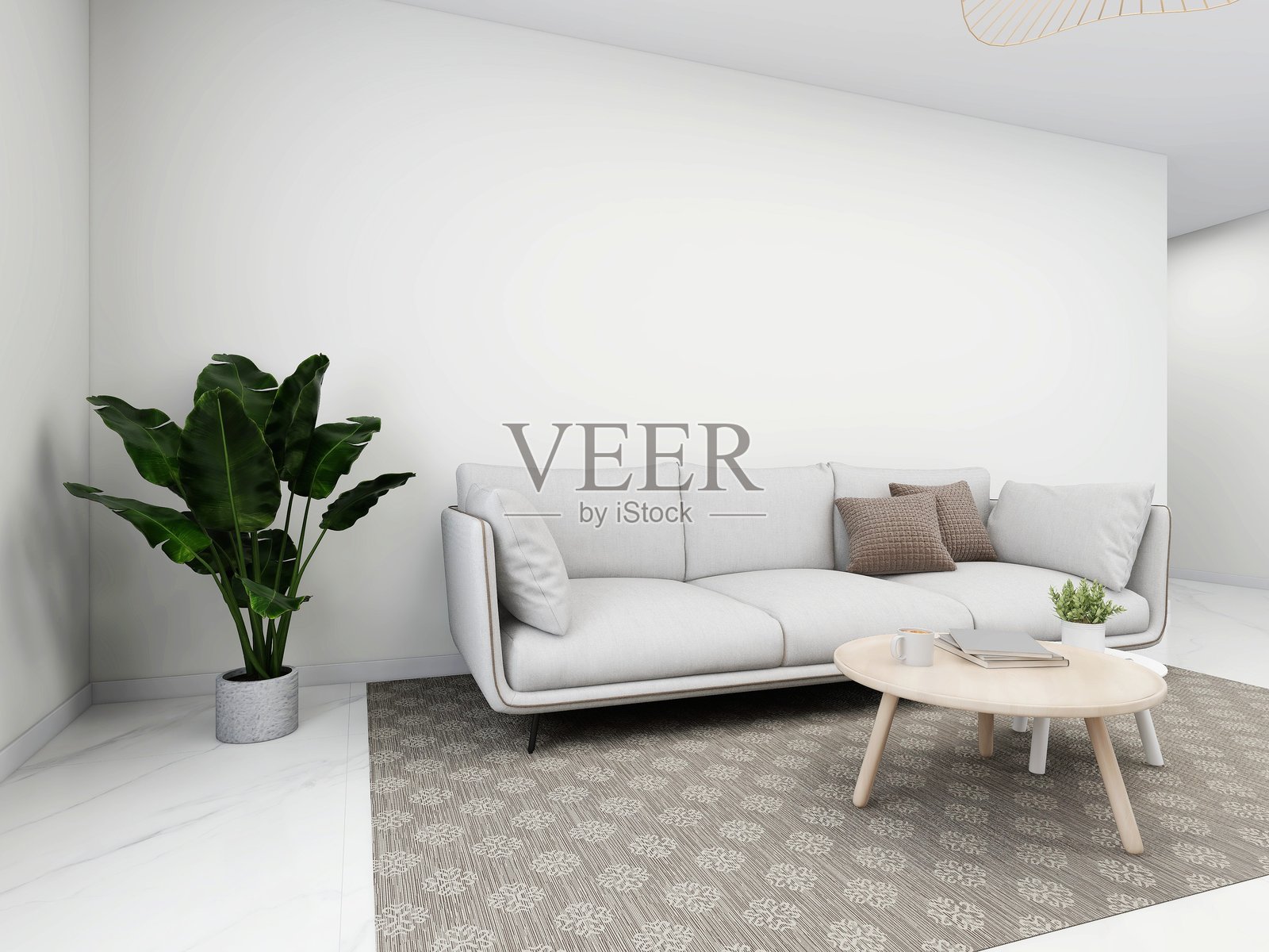 简单的客厅,配有白色沙发、装饰品和观赏植物照片摄影图片