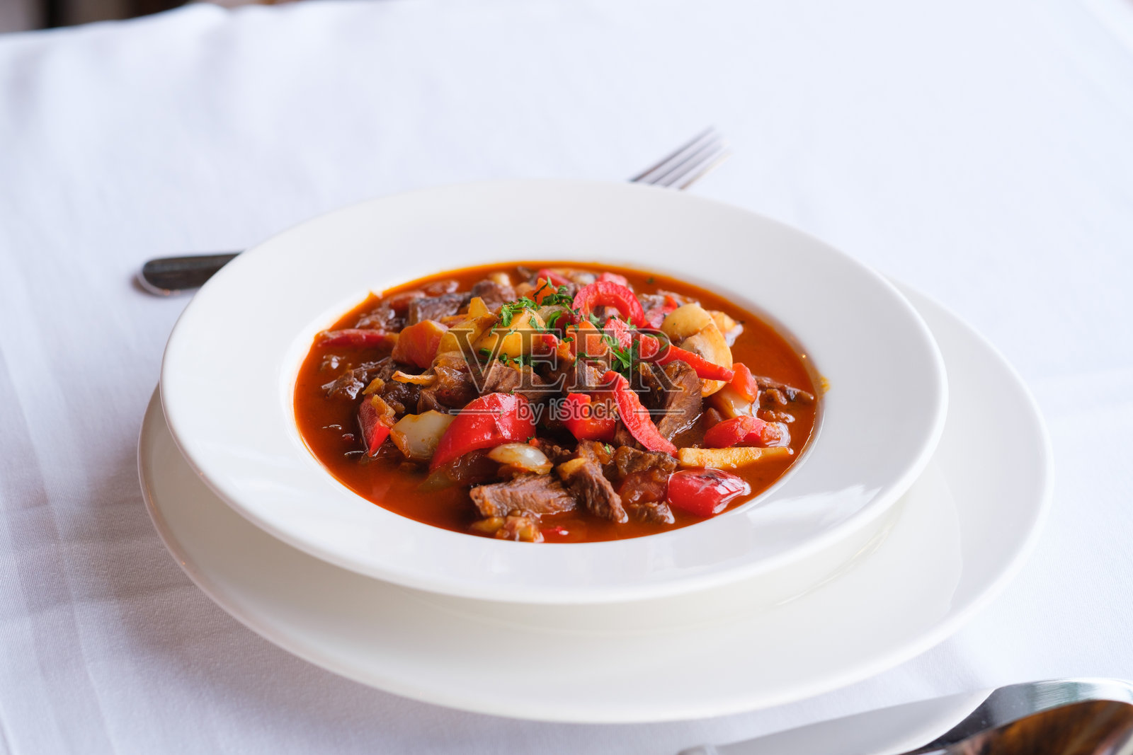 丰盛的炖菜,里面有肉块和色彩缤纷的蔬菜,浸泡在浓郁的番茄汤底中照片摄影图片