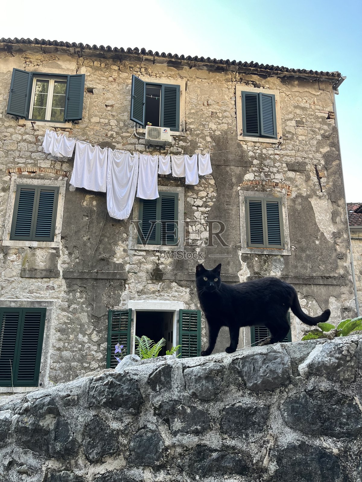 街头流浪的黑猫,背景是旧欧洲城镇的白色床单照片摄影图片