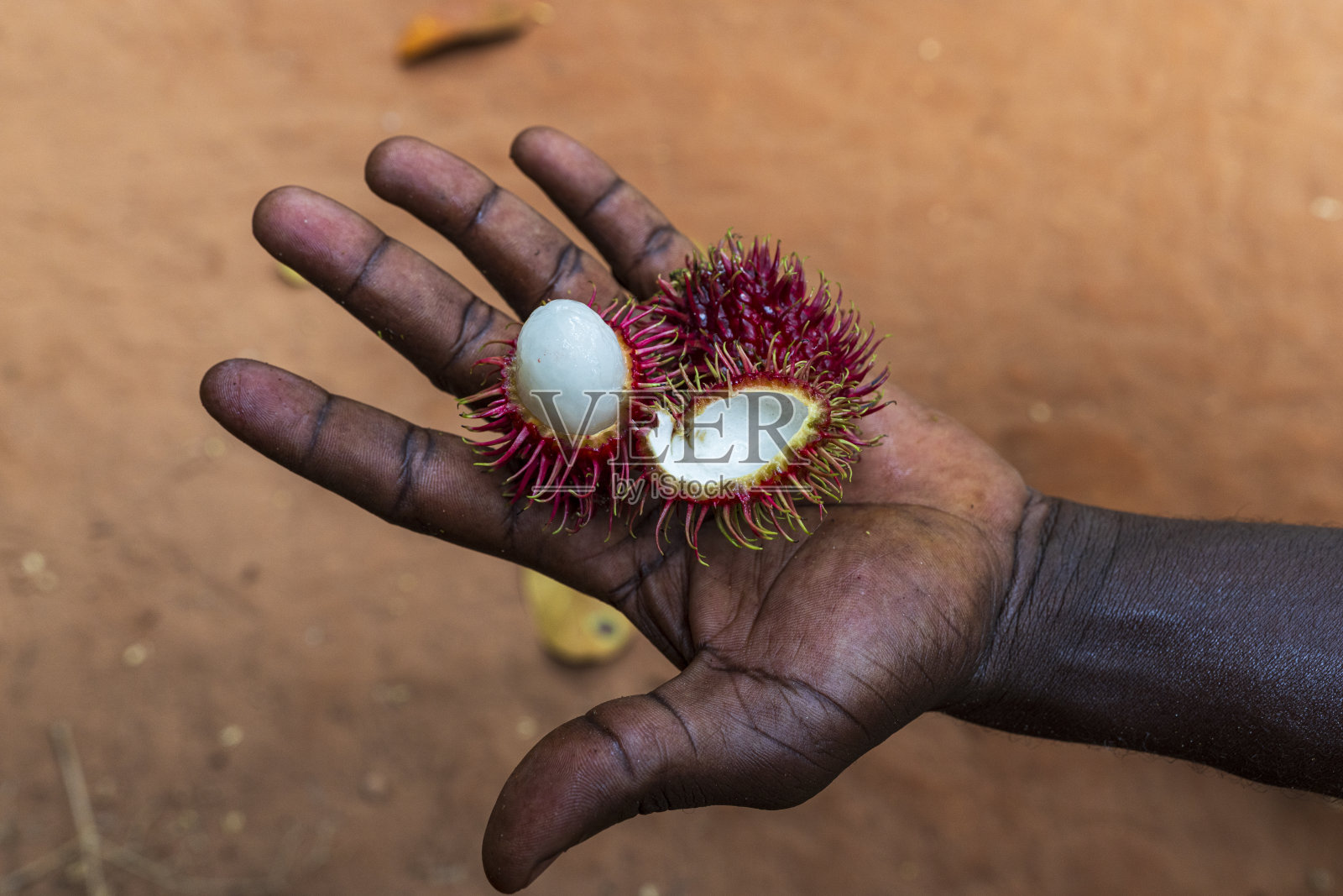 黑手上的新鲜荔枝特写照片摄影图片