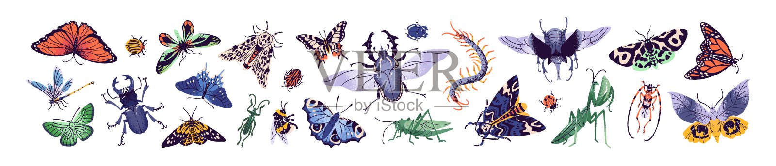 不同种类的甲虫和蝴蝶。各种昆虫:异国虫子、蛾子、瓢虫、蜻蜓、大黄蜂、蚂蚱、螳螂。白色背景上的平面孤立矢量插图。插画图片素材