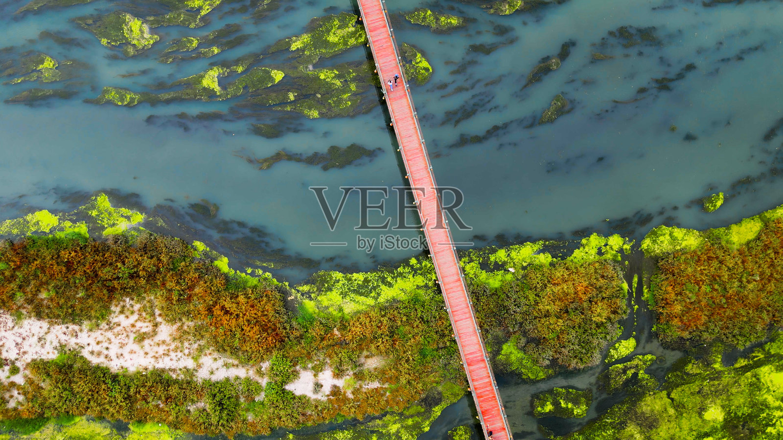 阿达纳的塞伊汉河与萨班奇中央清真寺照片摄影图片