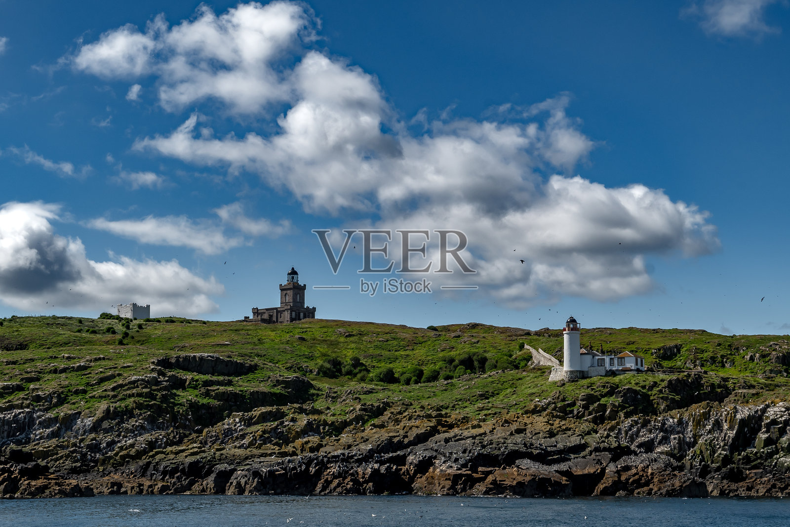 苏格兰安斯特瑟附近的福斯湾梅岛海鸟自然保护区照片摄影图片