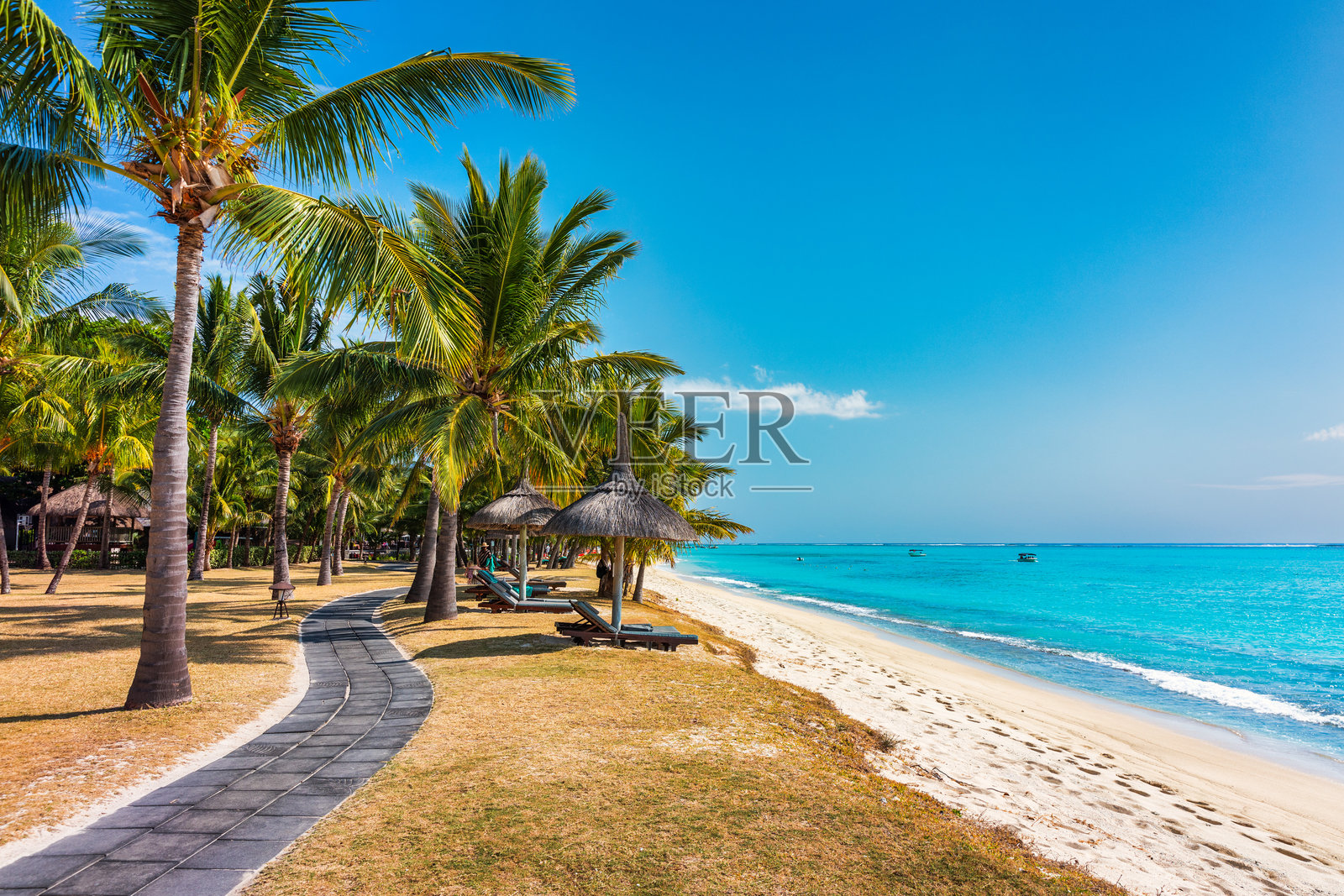 毛里求斯岛的热带海滩度假村,棕榈树和热带海洋。夏季假期和热带海滩概念。毛里求斯岛的沙滩与勒莫尔海滩。热带风景。照片摄影图片