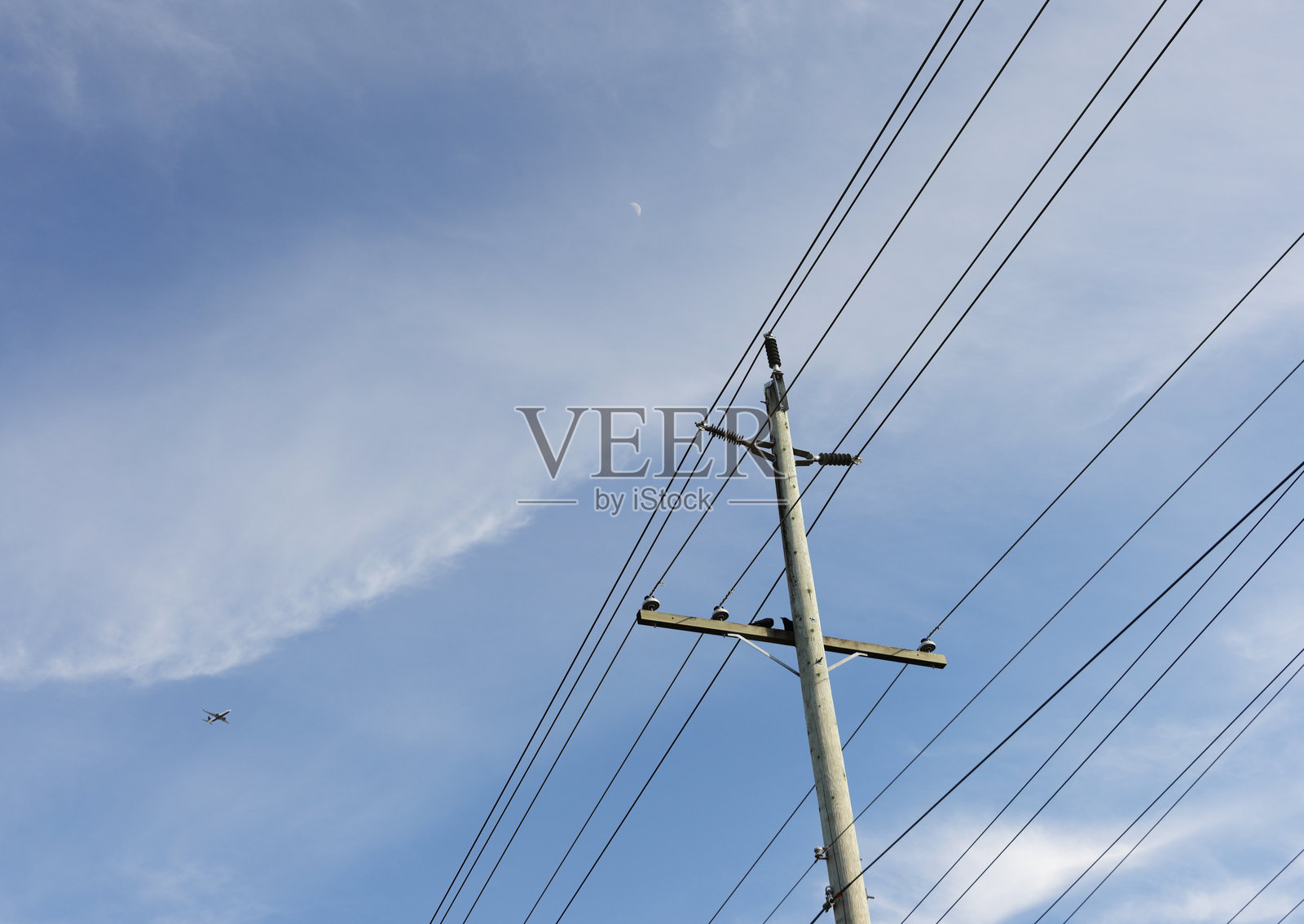 电线、乌鸦和月亮照片摄影图片