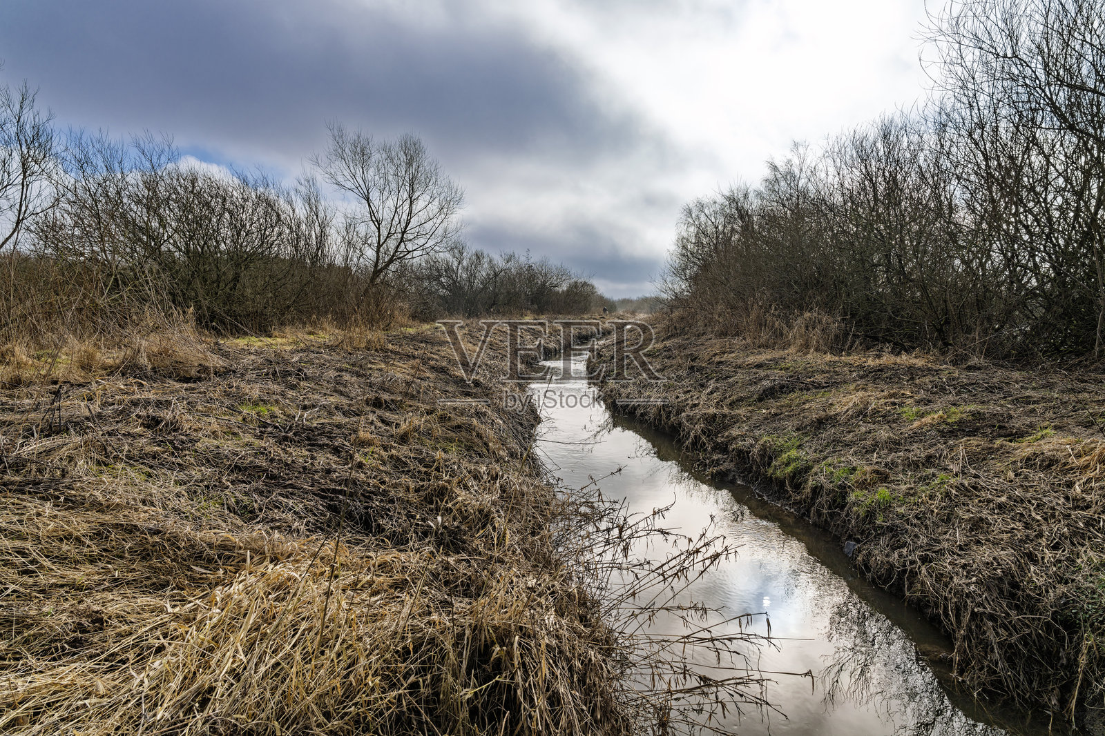 丹麦赫登斯特德的宁静乡村风景,温柔的小溪被光秃的树木环绕照片摄影图片