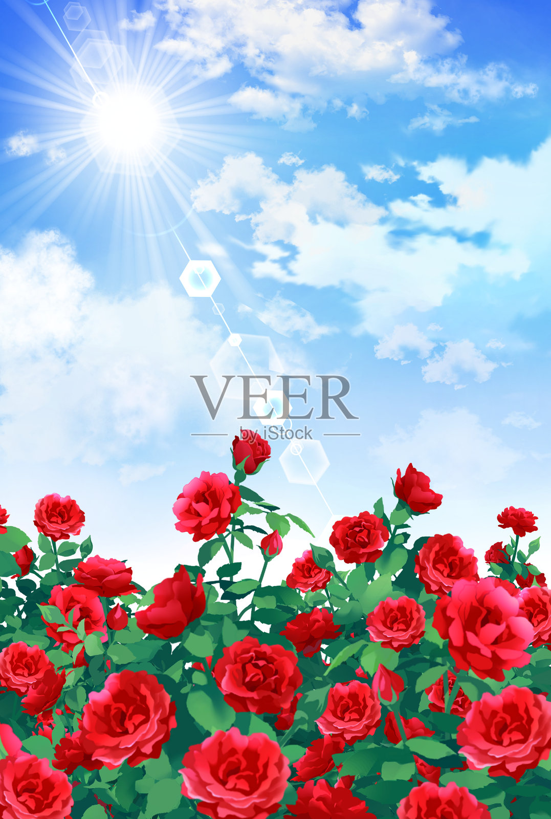 美丽的玫瑰花园背景插画图片素材