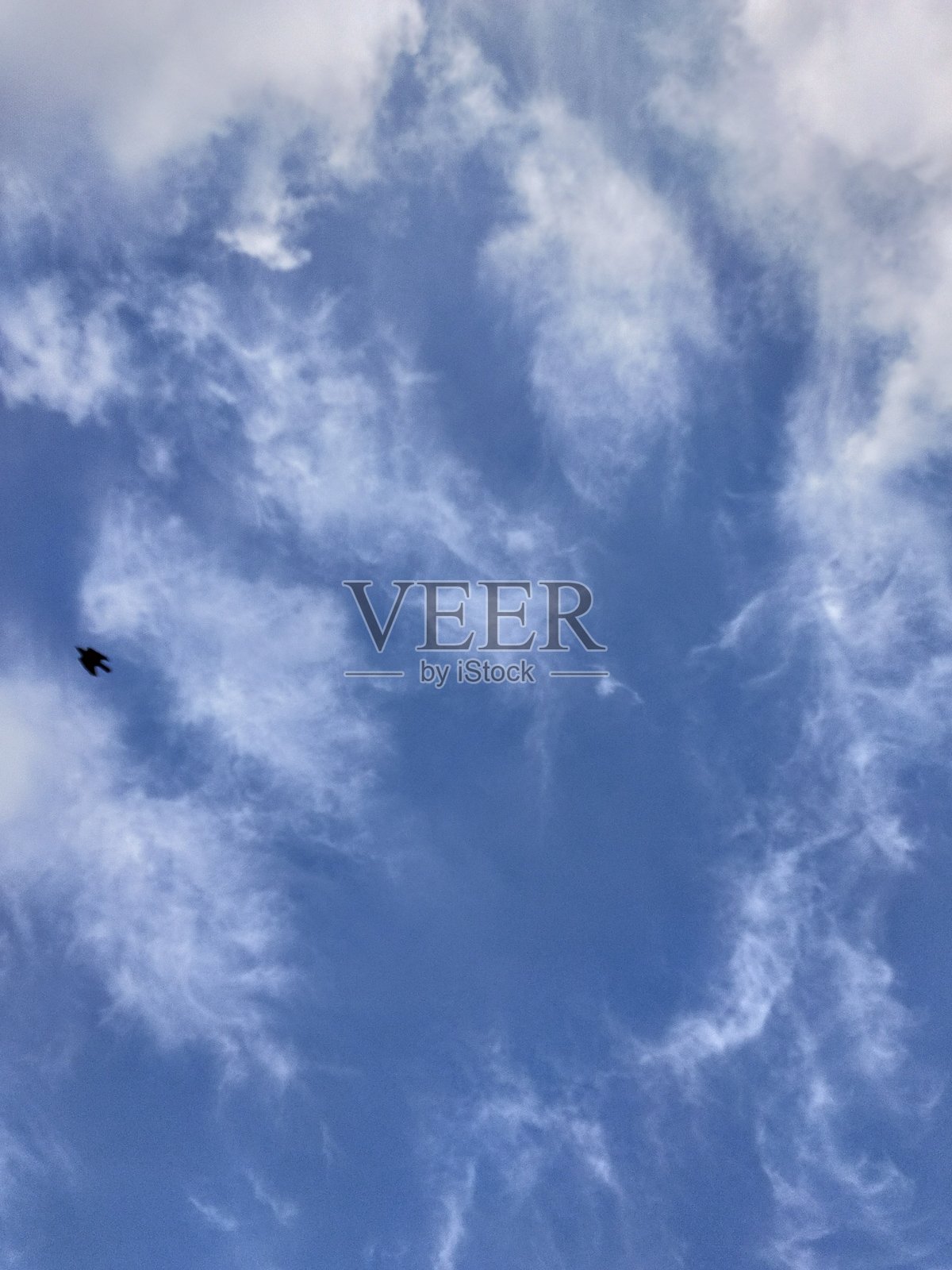 蓝天中神秘的卷云形成了蛇头的轮廓照片摄影图片