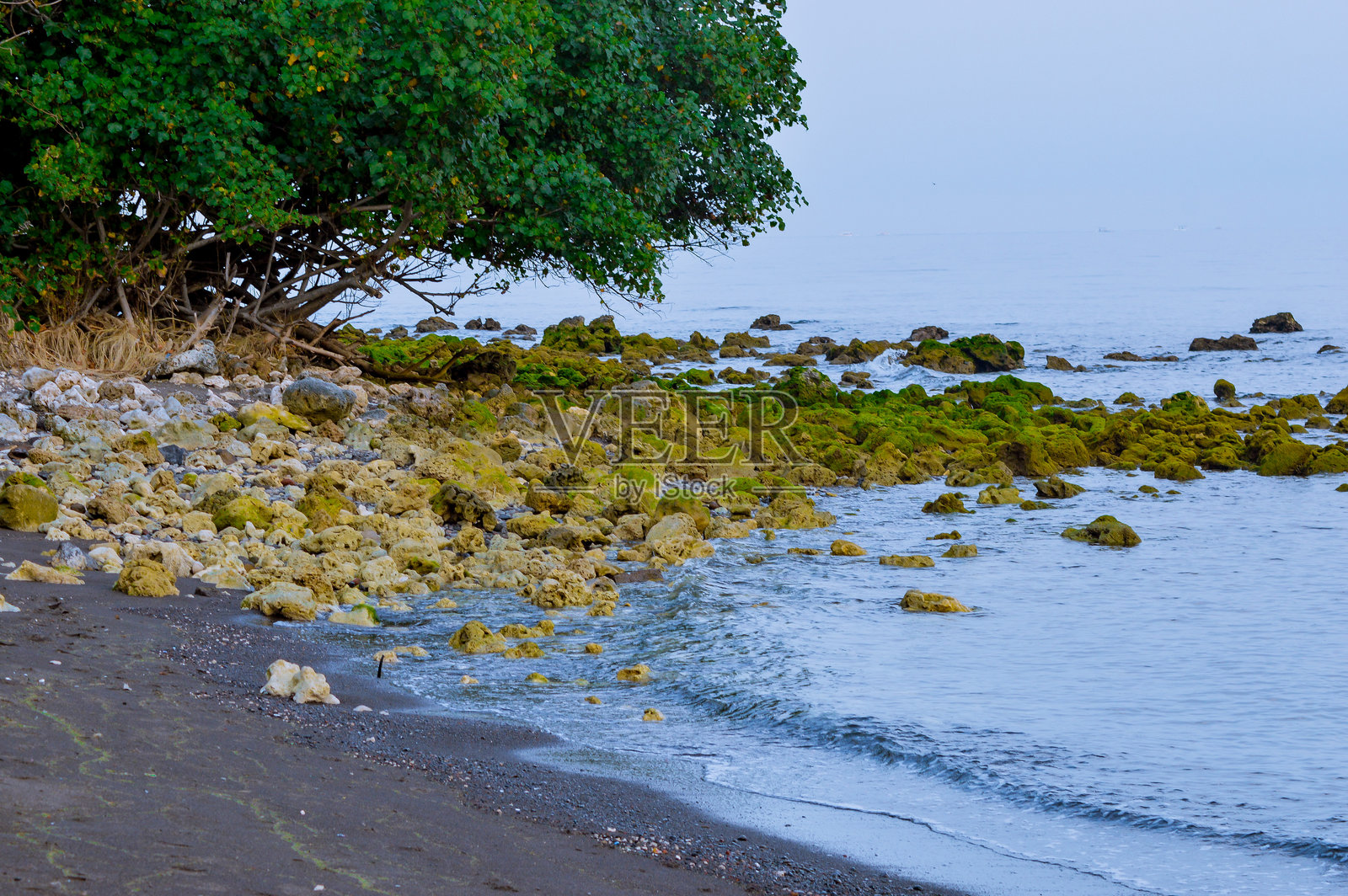 宁静的热带海岸线,长满苔藓的岩石和郁郁葱葱的树木照片摄影图片