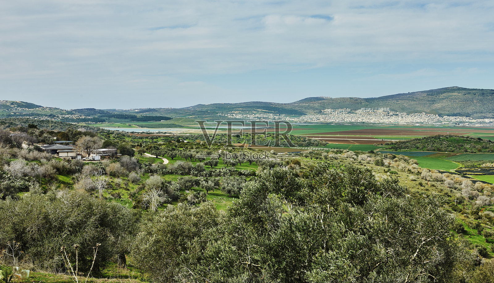 令人惊叹的自然风光,起伏的绿丘、橄榄树和远处的农田在部分多云的天空下,散发出宁静的气息。照片摄影图片