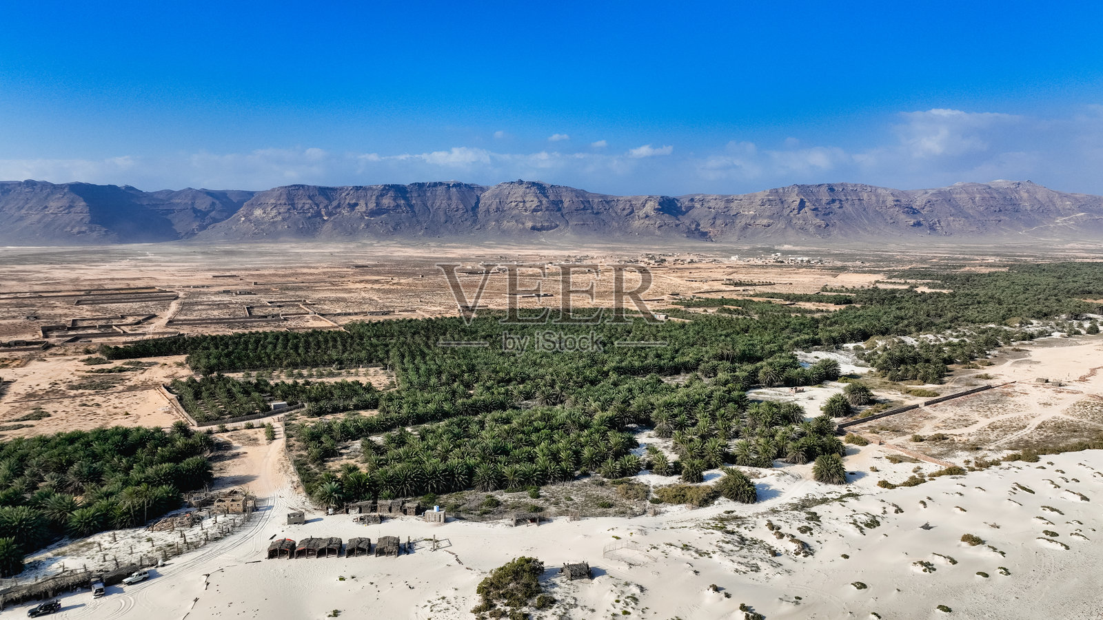 探索独特的索科特拉风景,白天的郁郁葱葱与干旱山脉相映成趣照片摄影图片