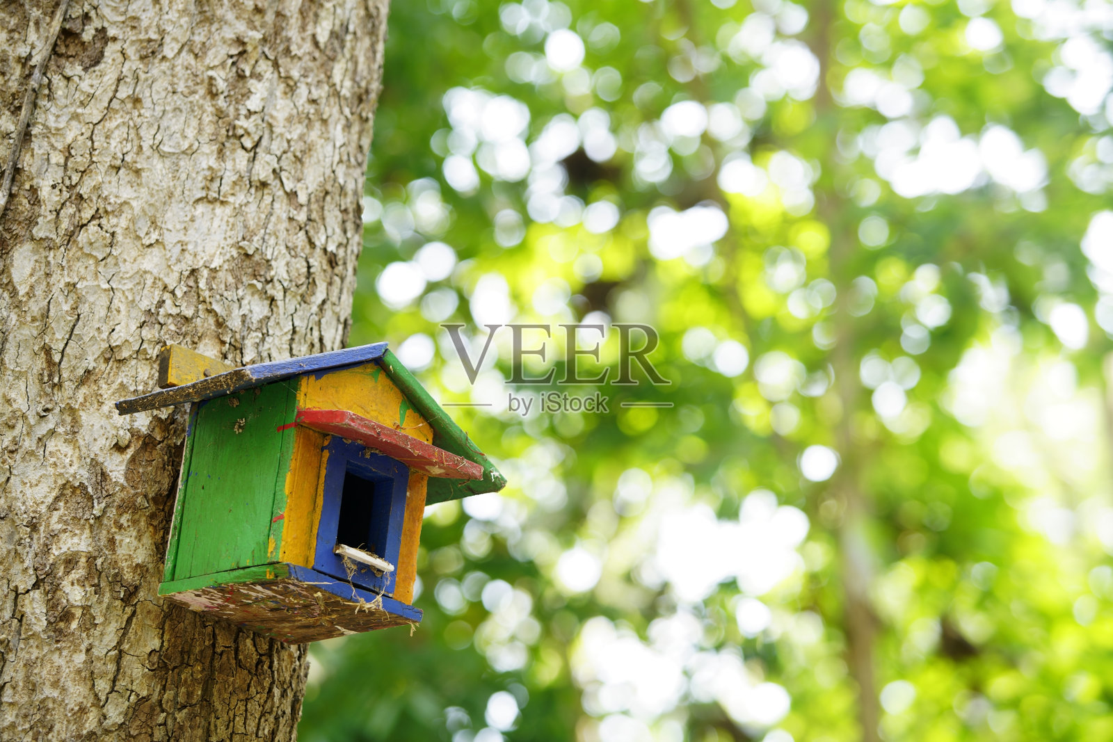 色彩斑斓的鸟屋依偎在树上,背景模糊的绿色景色照片摄影图片