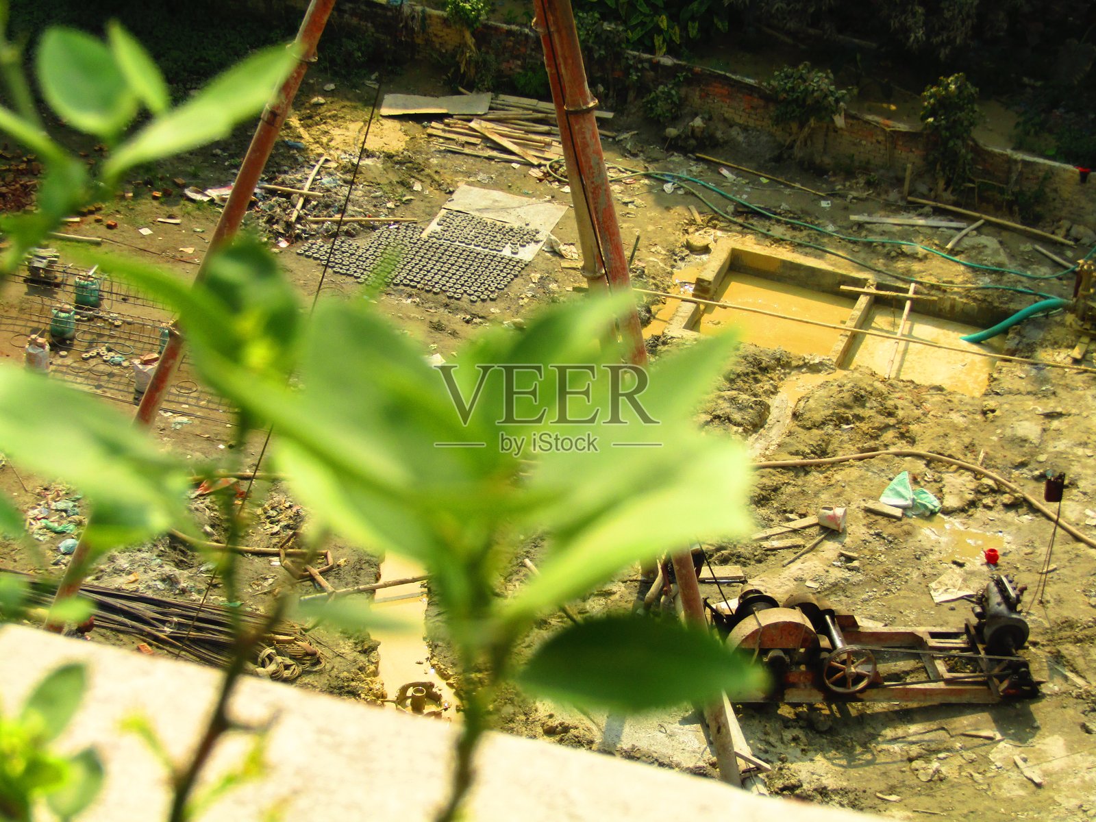 嫩小树枝上长出鲜亮的绿色叶子特写照片摄影图片