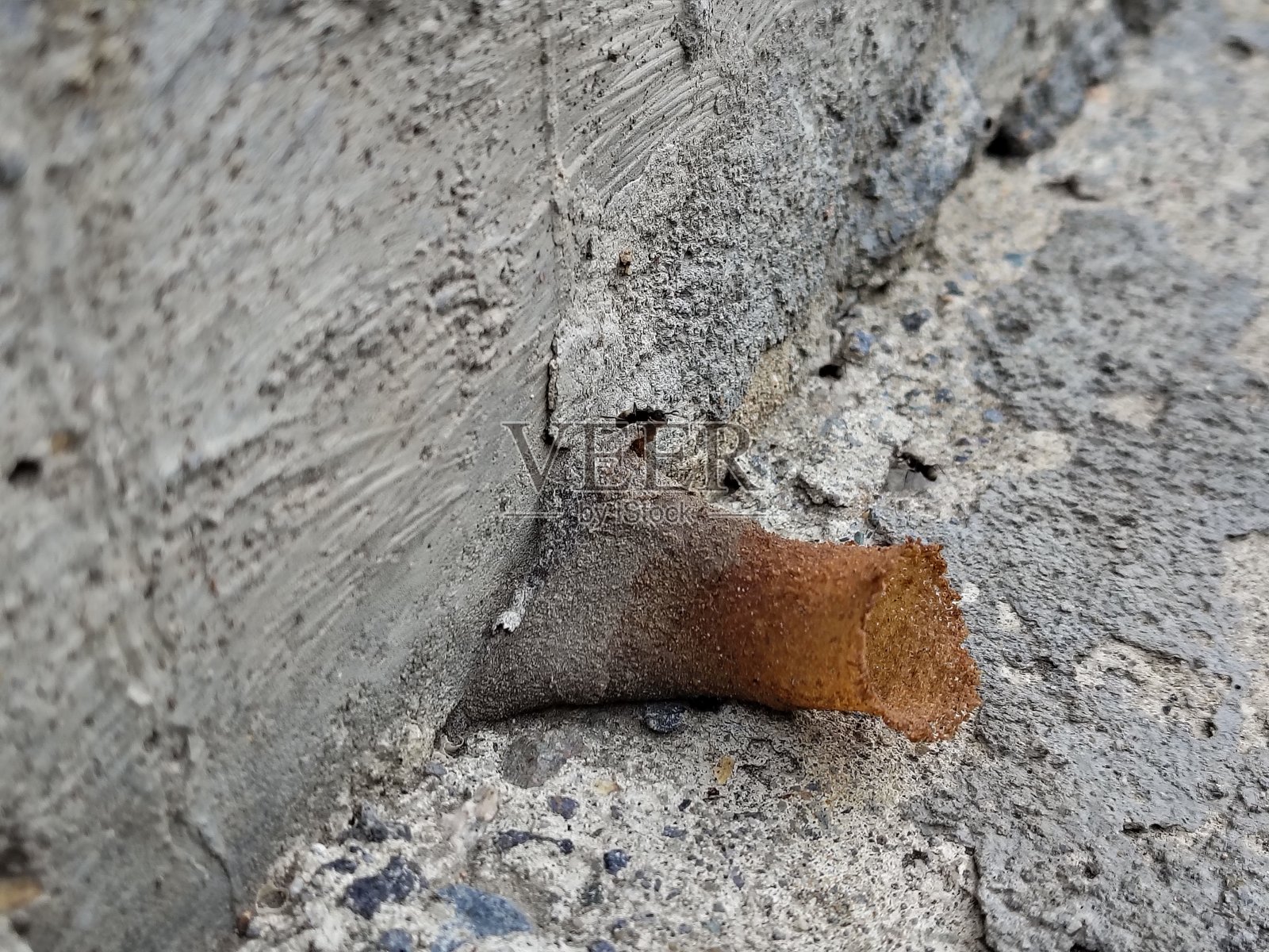 墙壁上形成的黄蜂巢照片摄影图片