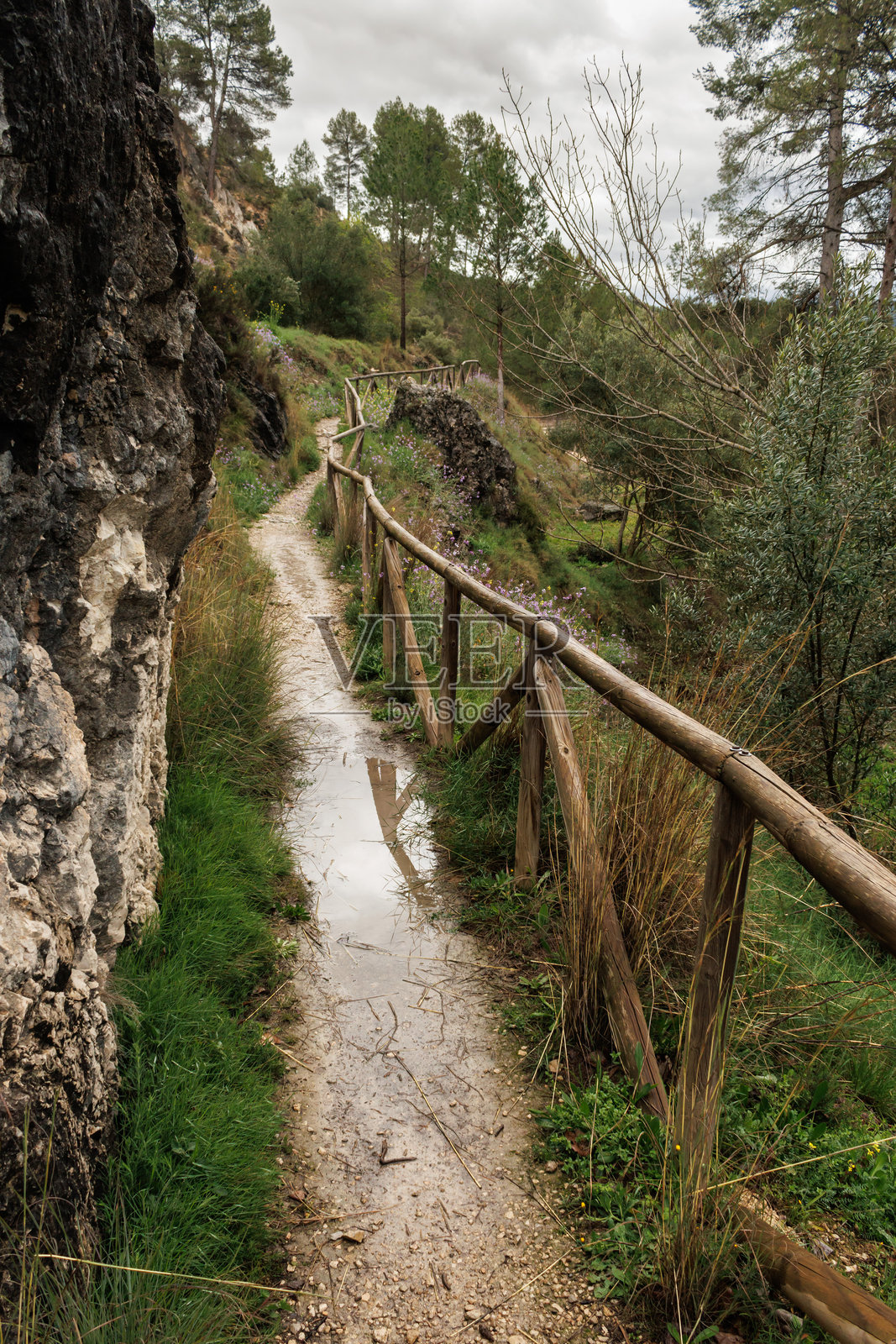 盐德莫利路线雨后湿滑的小径照片摄影图片