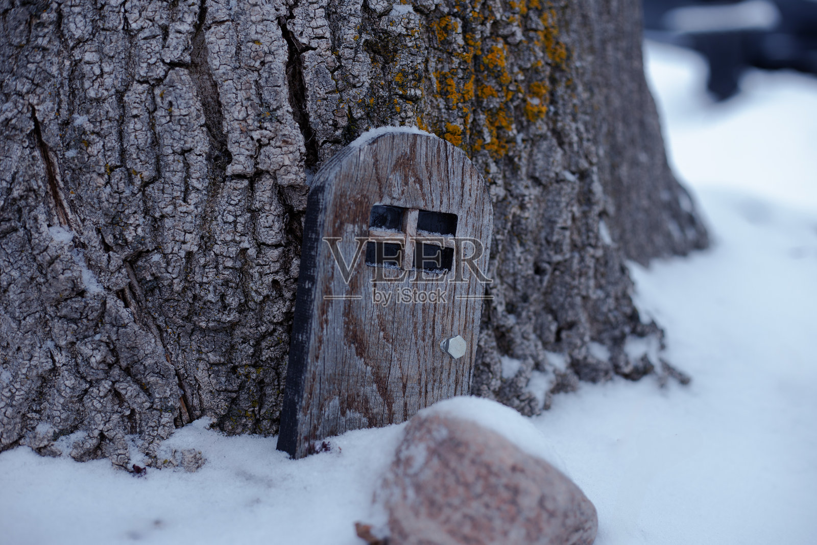树上的迷你门照片摄影图片
