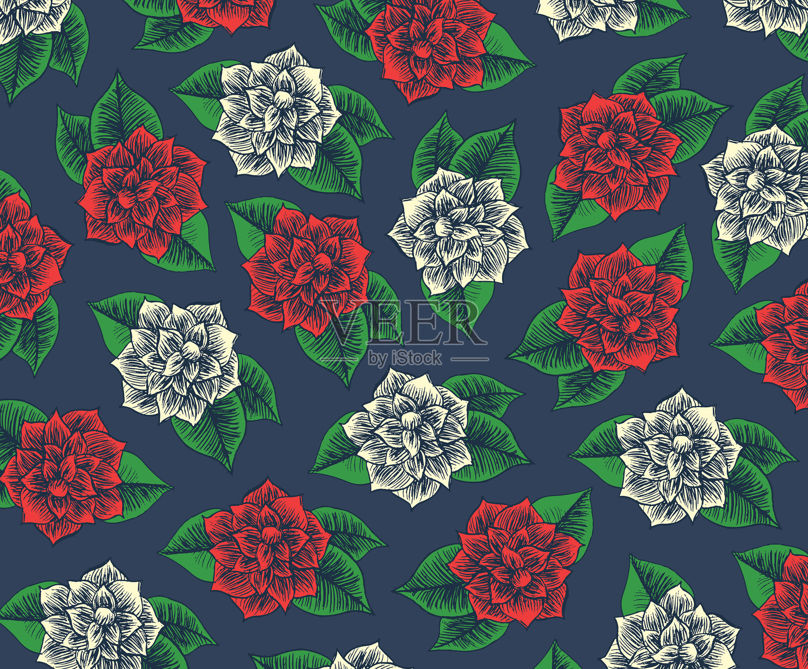 花卉背景。插画图片素材