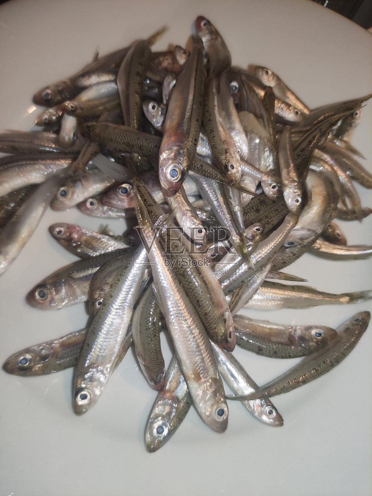 一堆新鲜捕获的小鱼摆放在白色盘子上,展示了意大利比比奥内七月的当地海鲜。照片摄影图片