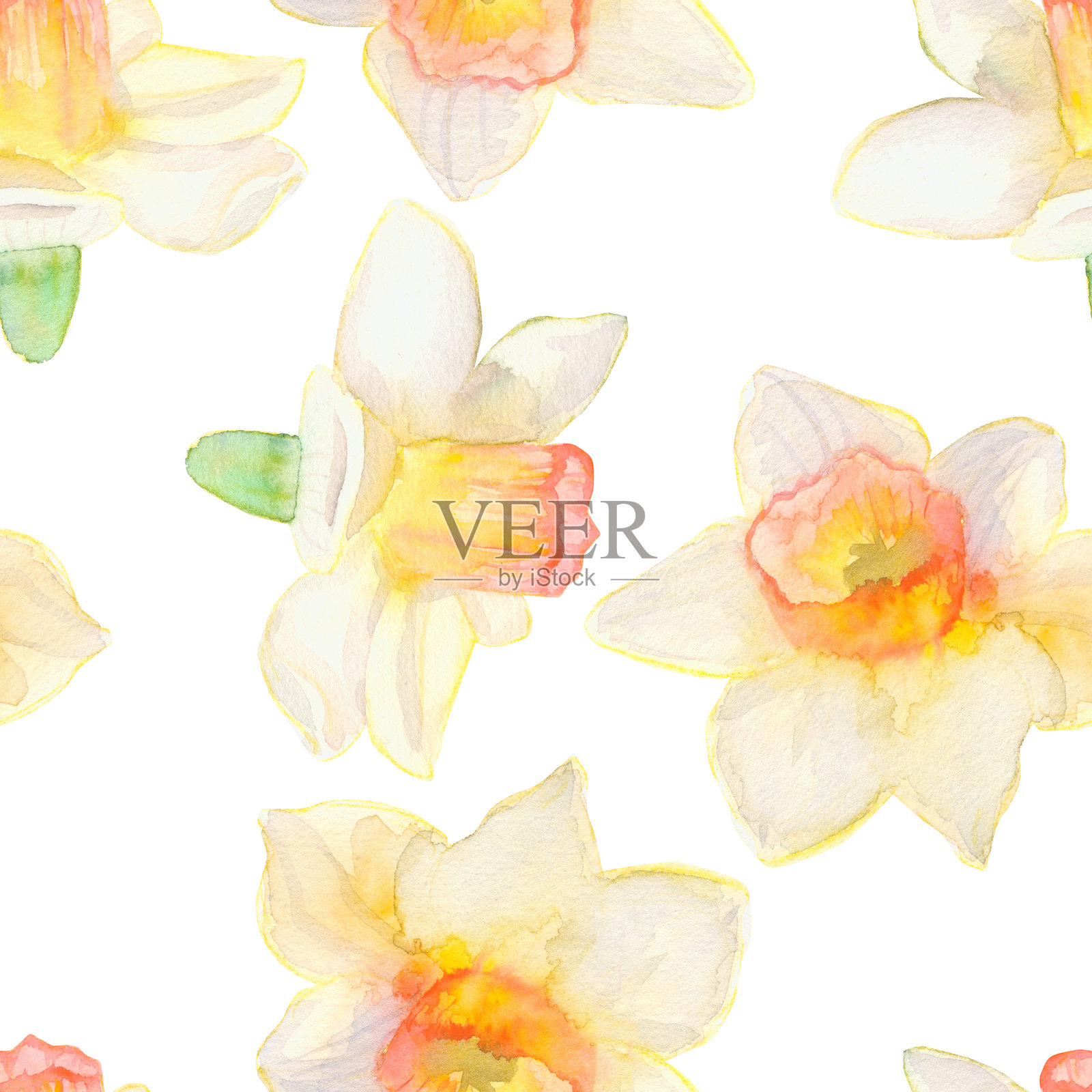 水仙花无缝图案。水仙花的花卉背景。适用于壁纸、包装纸和纺织品的植物背景。插画图片素材