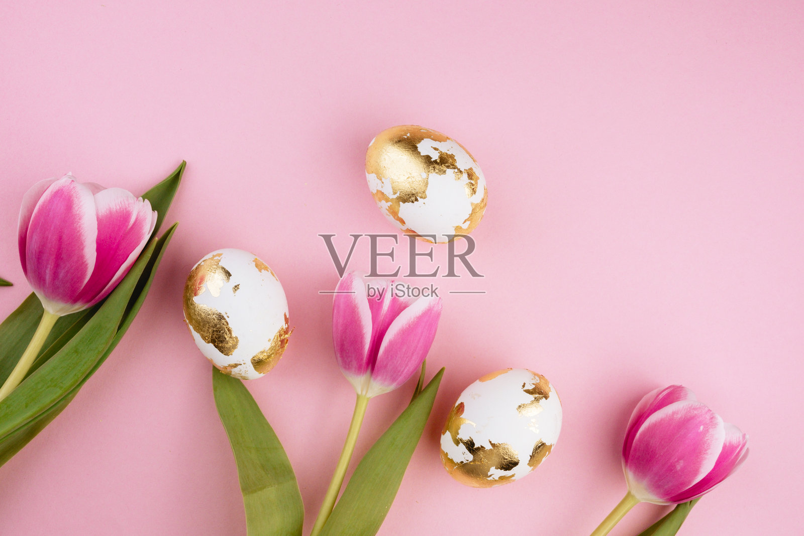 复活节金蛋与郁金香在粉色背景上照片摄影图片