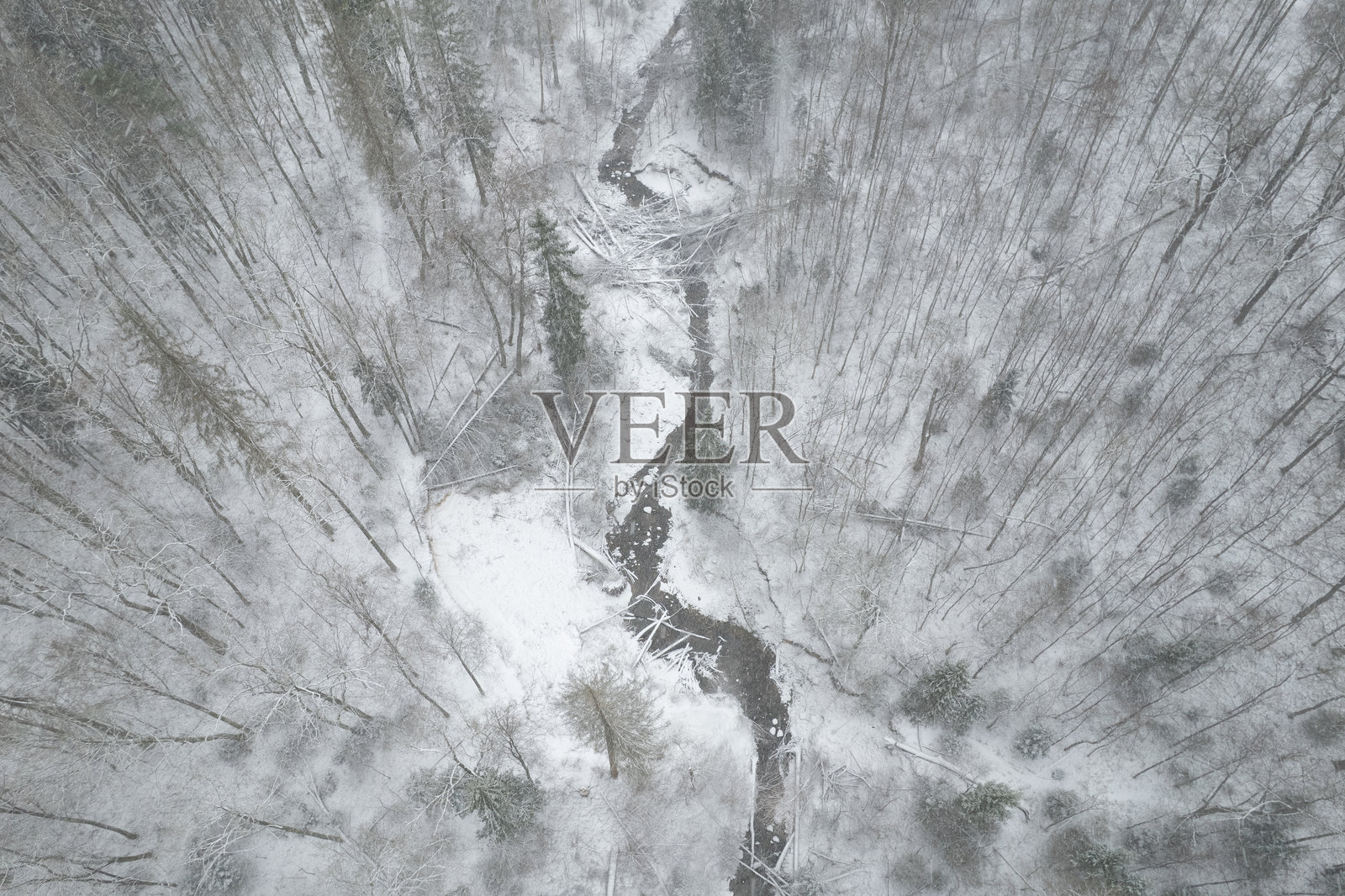 立陶宛维尔纽斯维尔凯地区公园美丽雪林的冬季空中视角照片摄影图片