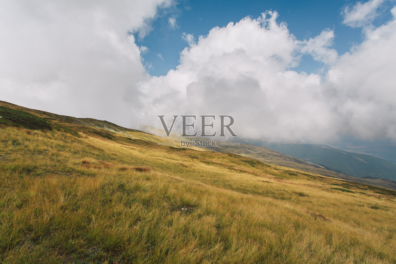 金色草地与雾气缭绕的山峰照片摄影图片