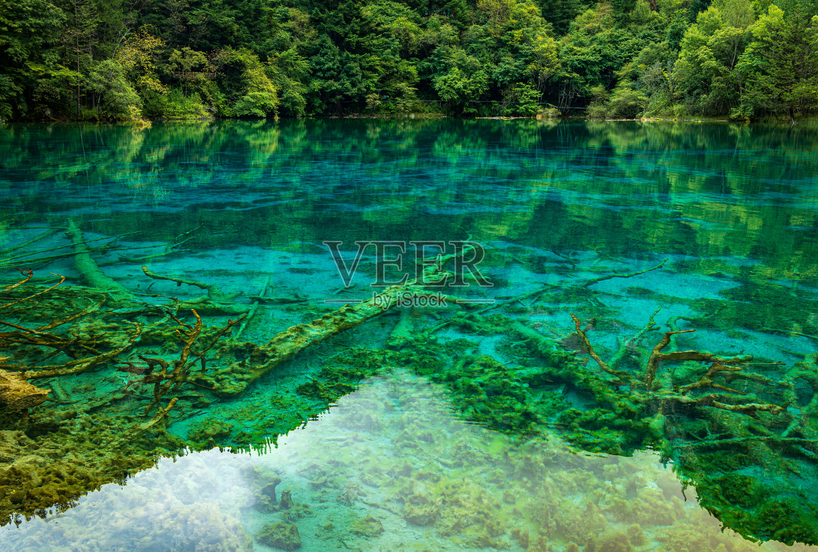 九寨沟清澈的湖泊与森林倒影照片摄影图片