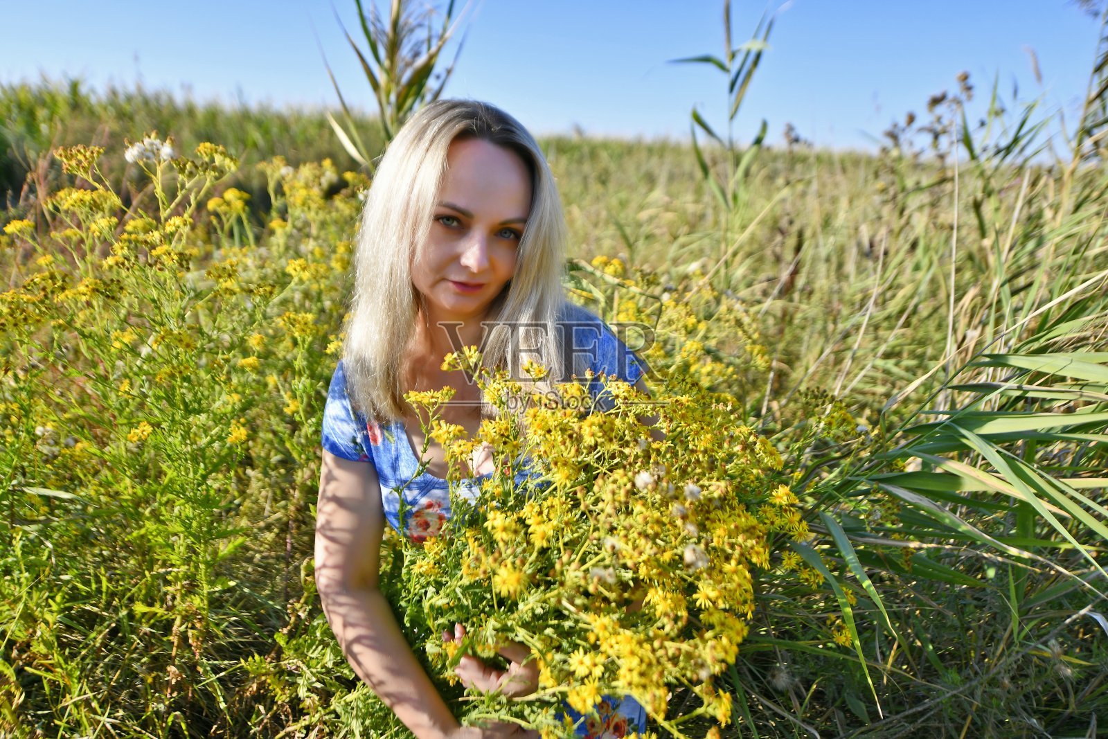 美丽性感的女人照片摄影图片