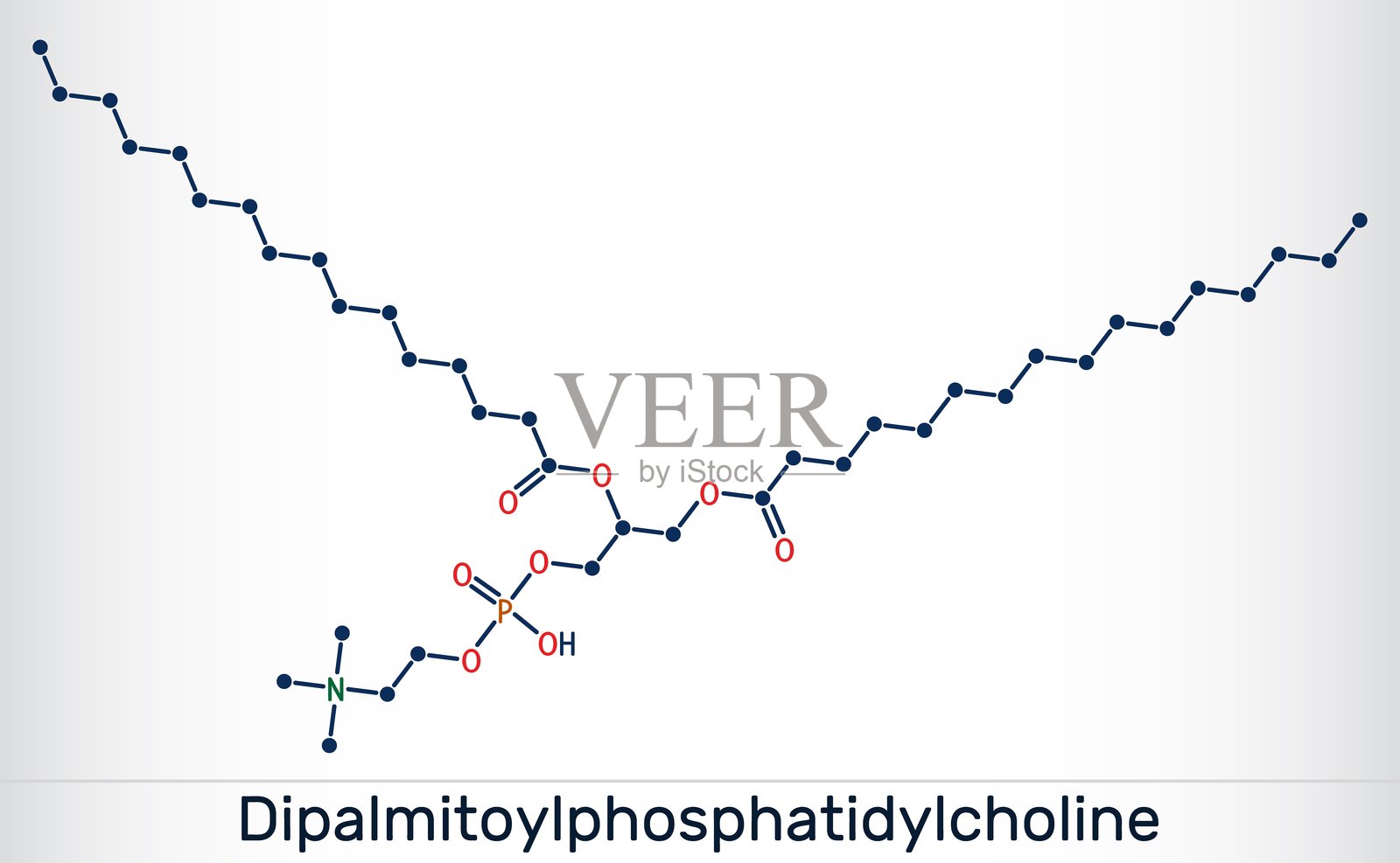 二棕榈酰磷脂酰胆碱,DPPC分子。存在于肺表面活性剂中的天然磷脂。骨架化学结构式。矢量图。插画图片素材
