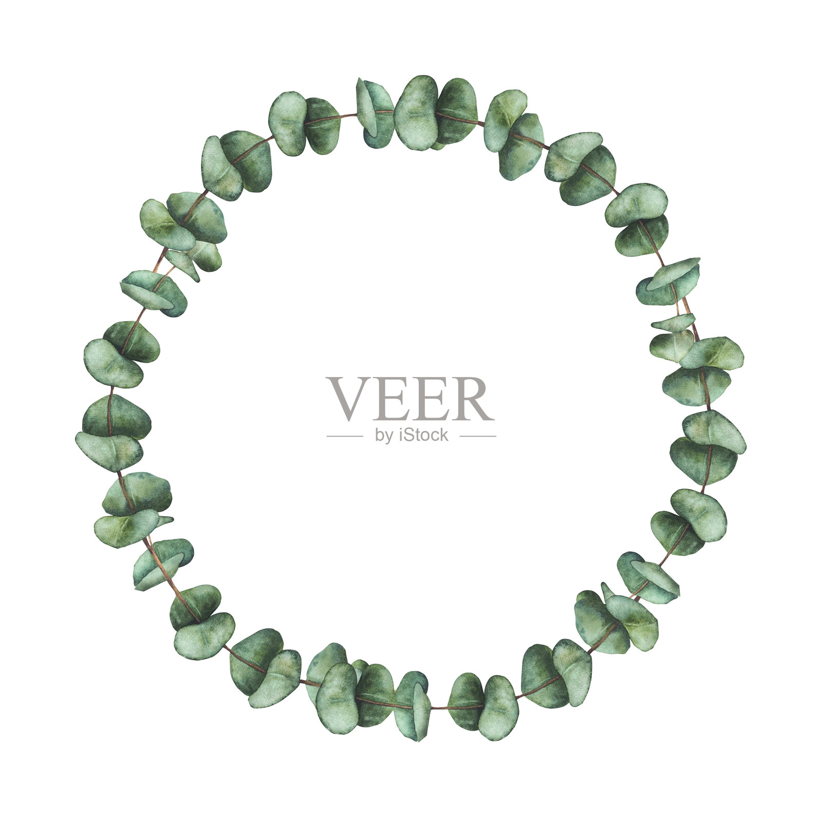 桉树绿叶水彩花环。手绘插图的植物枝条与绿色叶子插画图片素材