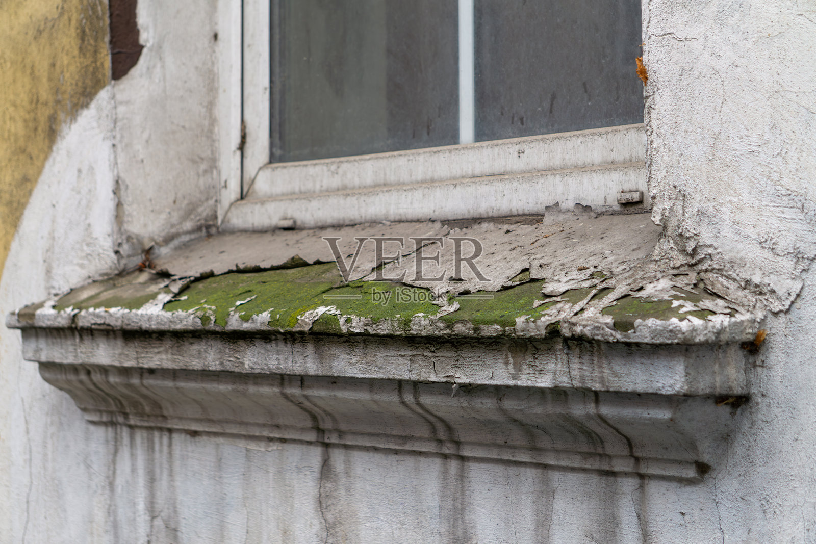 剥落的油漆和灰泥的建筑物。窗台上长满绿色苔藓的住宅建筑。照片摄影图片