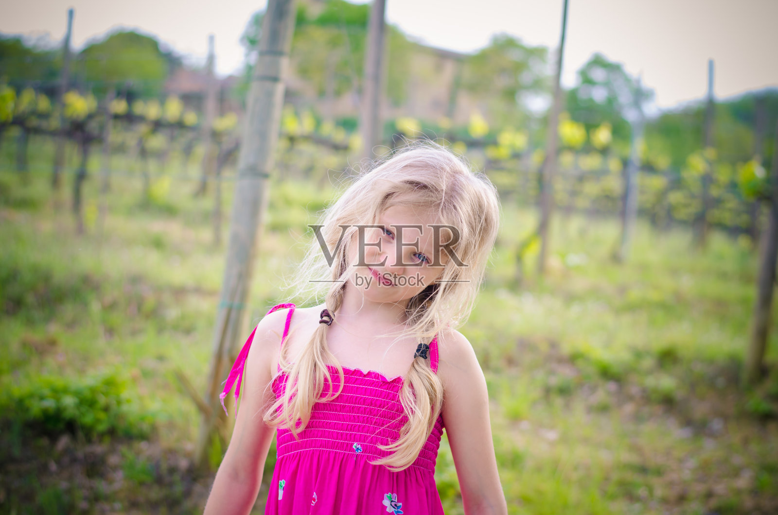 意大利氛围照片摄影图片