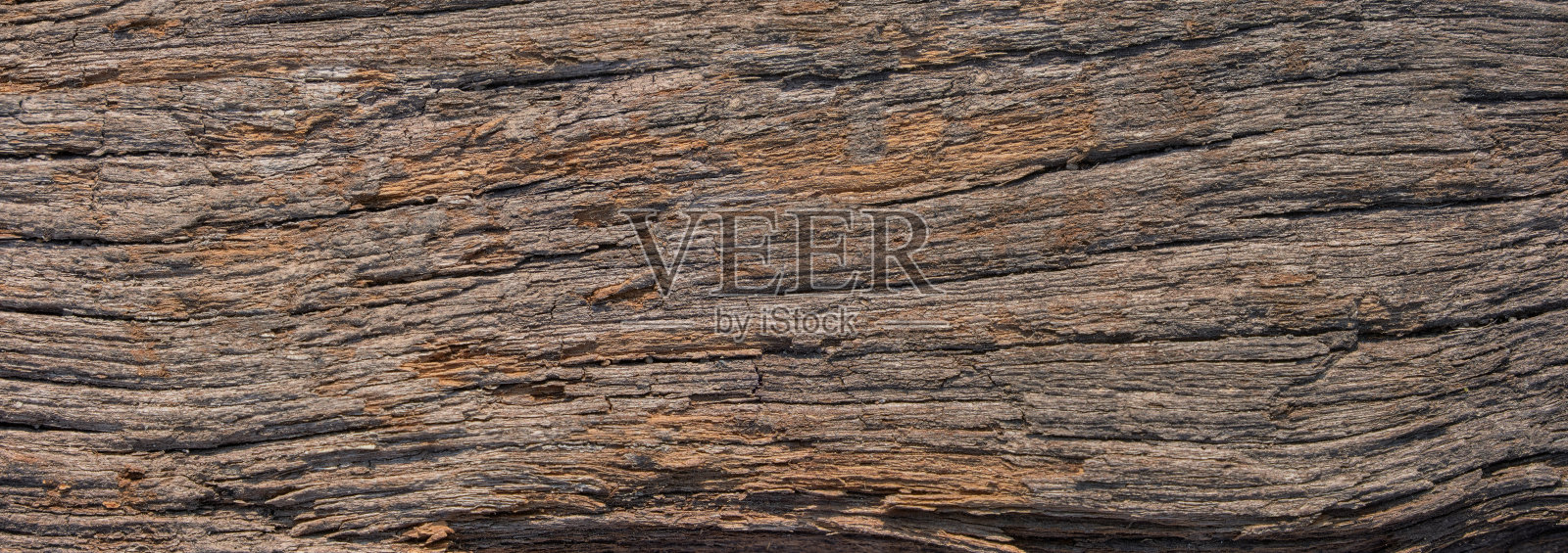 旧木材,木纹表面背景空白,适合设计使用照片摄影图片