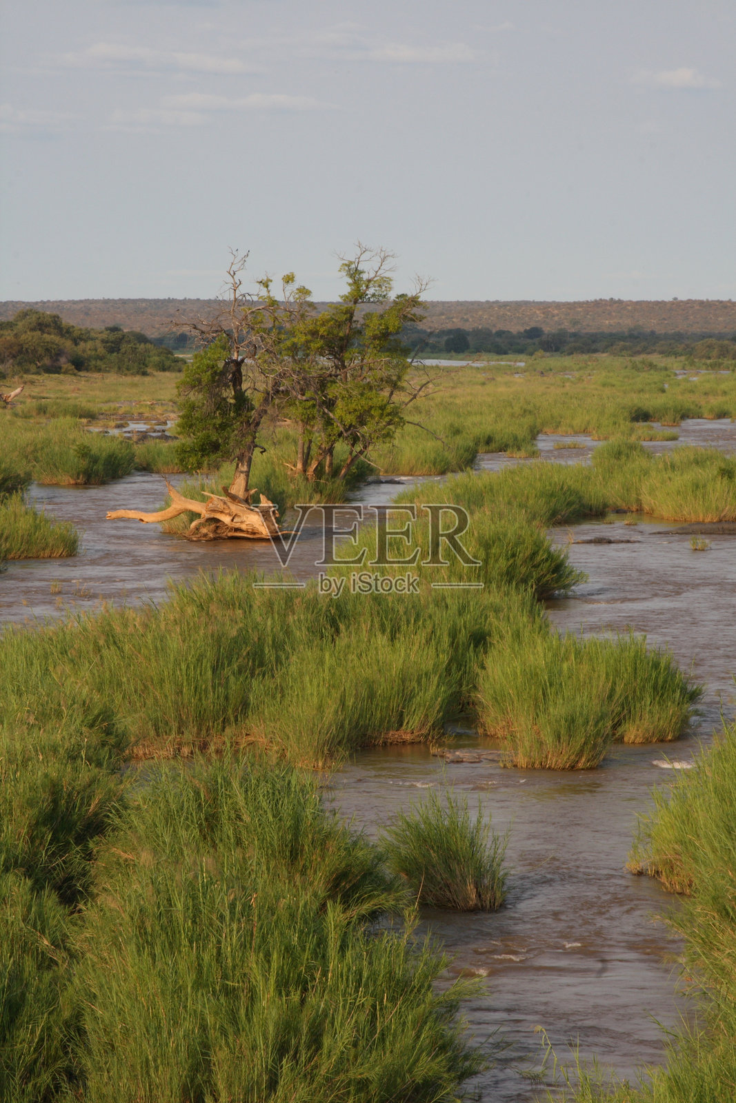奥利凡特斯河 / 奥利凡特斯河 /照片摄影图片