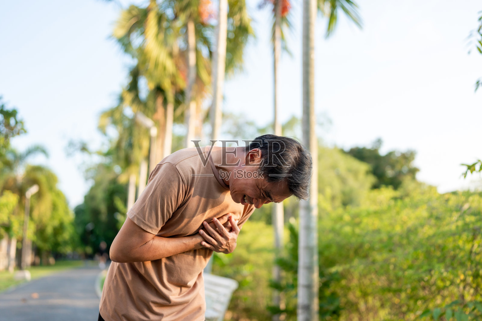 亚洲老年男性在花园锻炼时感到心脏病发作的疼痛。迷人的成熟运动员在公园锻炼时因剧烈疼痛而呼吸困难,捂住胸口。照片摄影图片