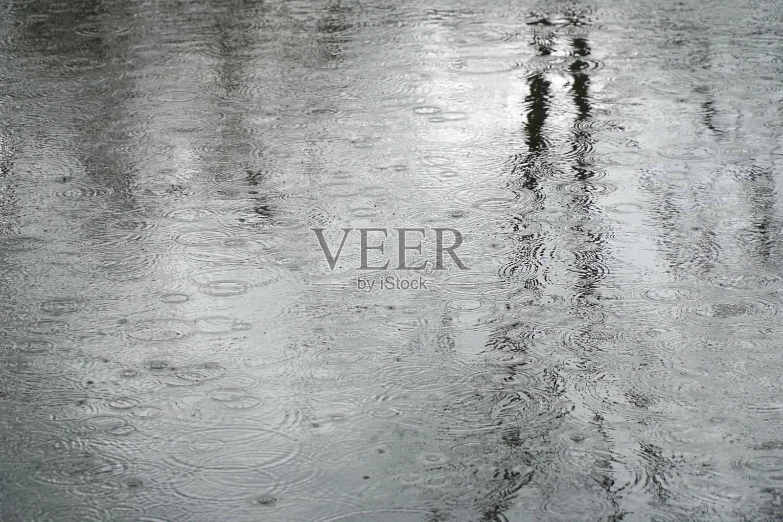 雨中水面涟漪与树木倒影照片摄影图片